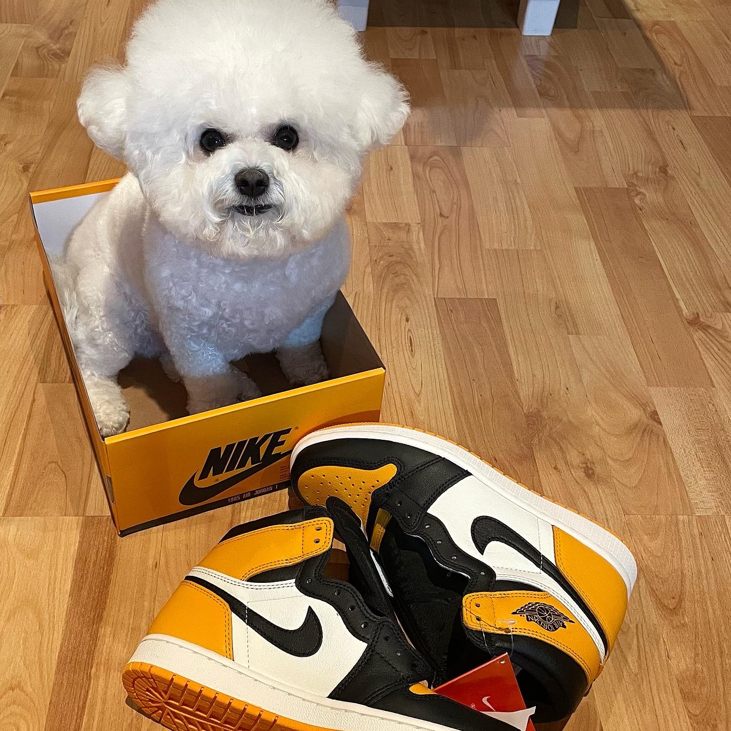 Jordan 1 Retro High OG Taxi 착용 스타일 - 1