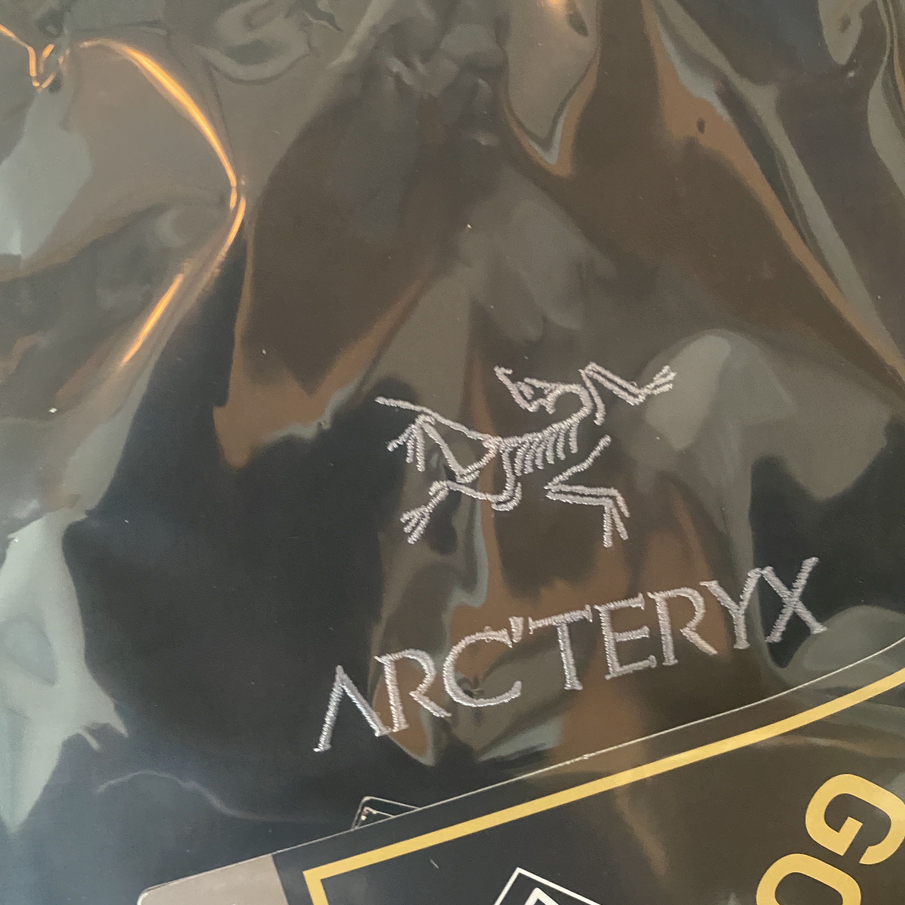 Arc'teryx Zeta SL Jacket Black 착용 스타일