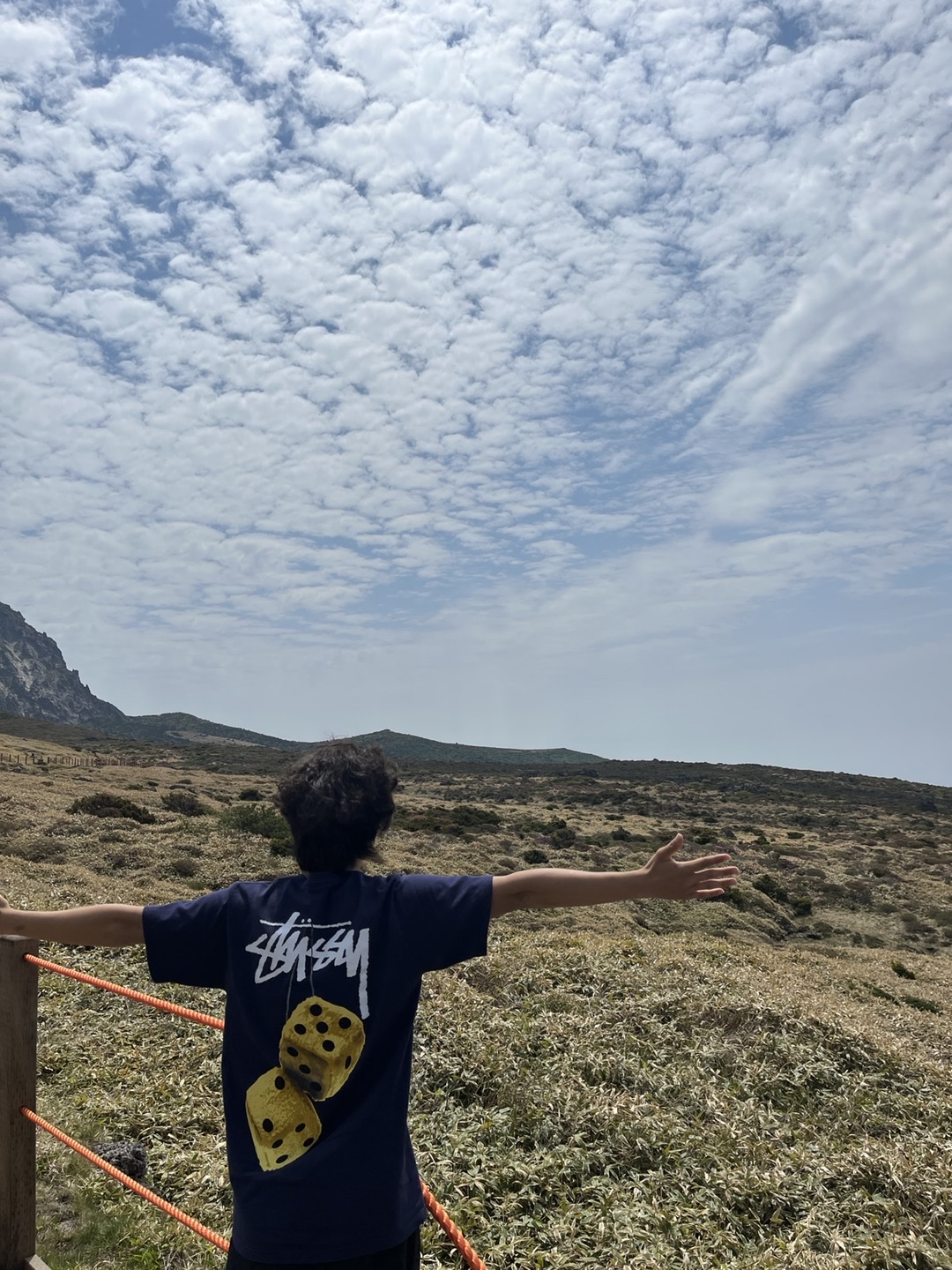 Stussy Fuzzy Dice T-Shirt Navy, Stussy 8 Ball T-Shirt White - 22SS 착용 스타일 - 3
