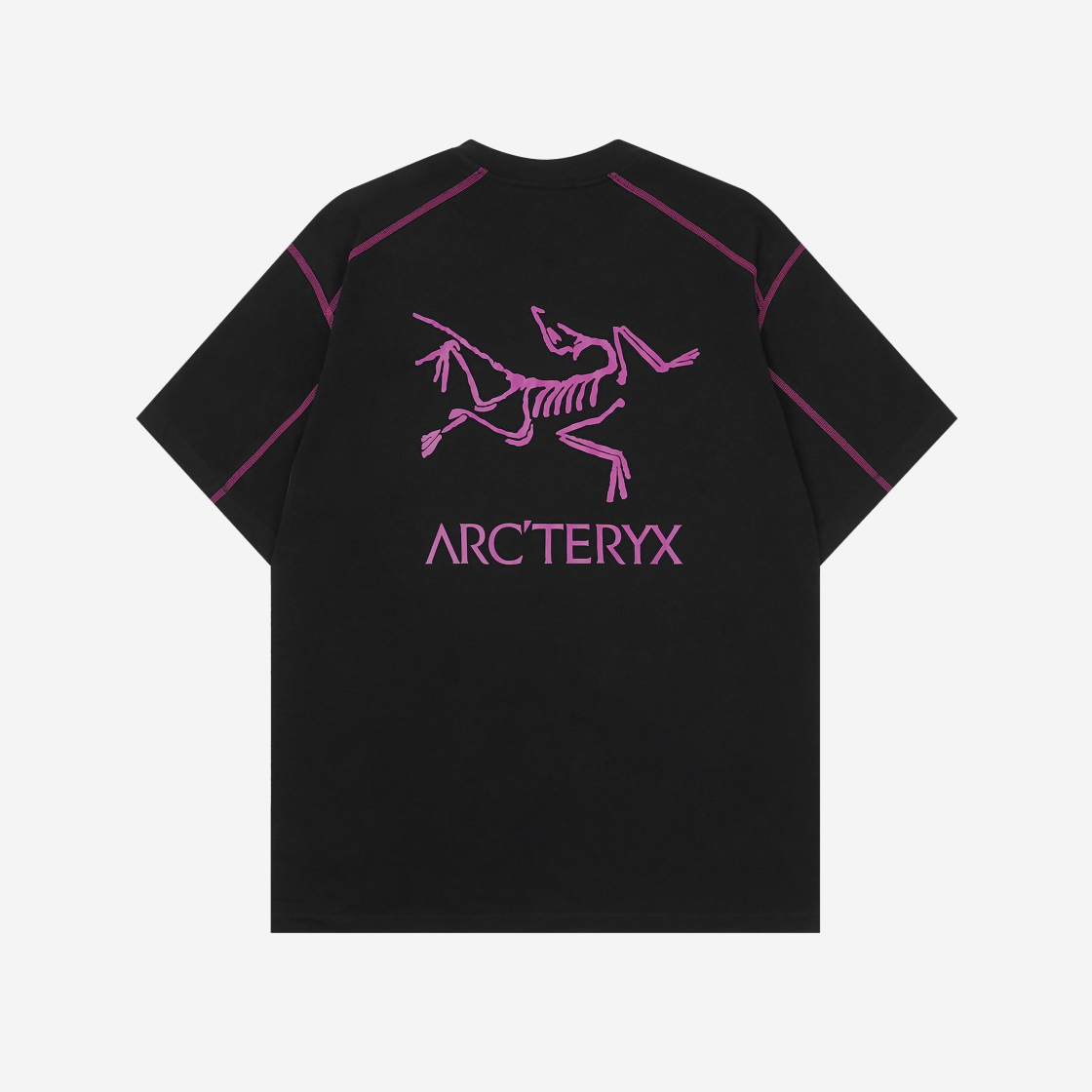 ARC'TERYX SYSTEM_A COPAL SS Grotto Line A4Rhl-m94492013358  Tシャツ/カットソー(半袖/袖なし) | txfood2u.com