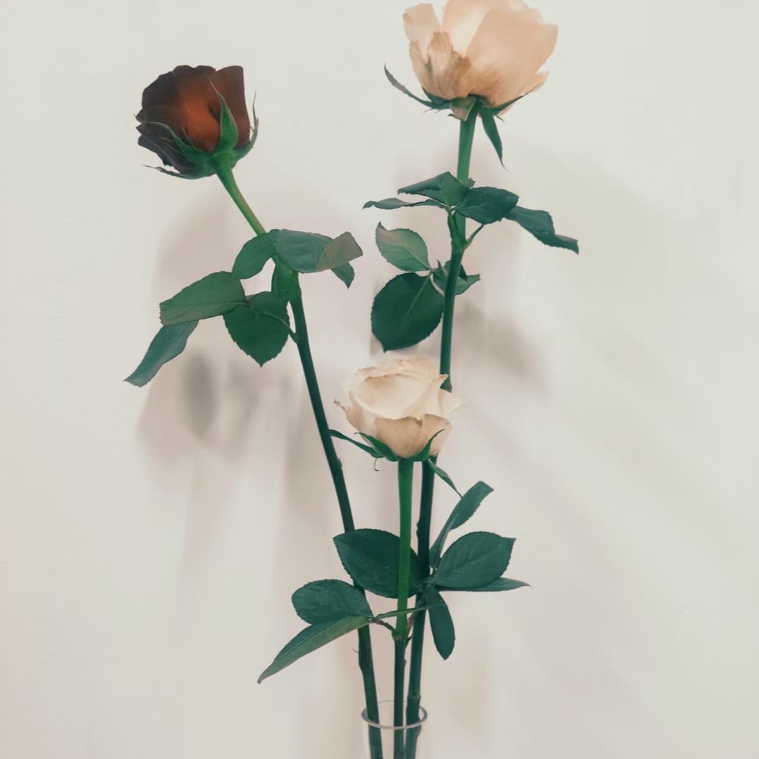 1030104933님의 스타일