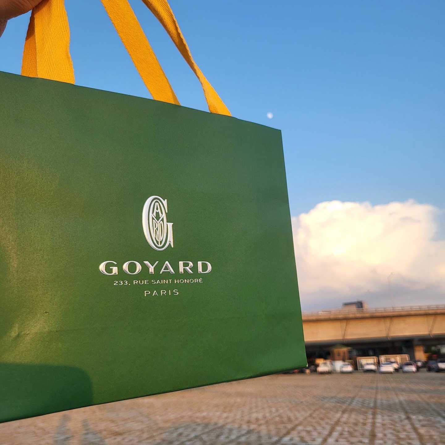 Goyard Saint Sulpice Card Holder Sky Blue 착용 스타일 - 2