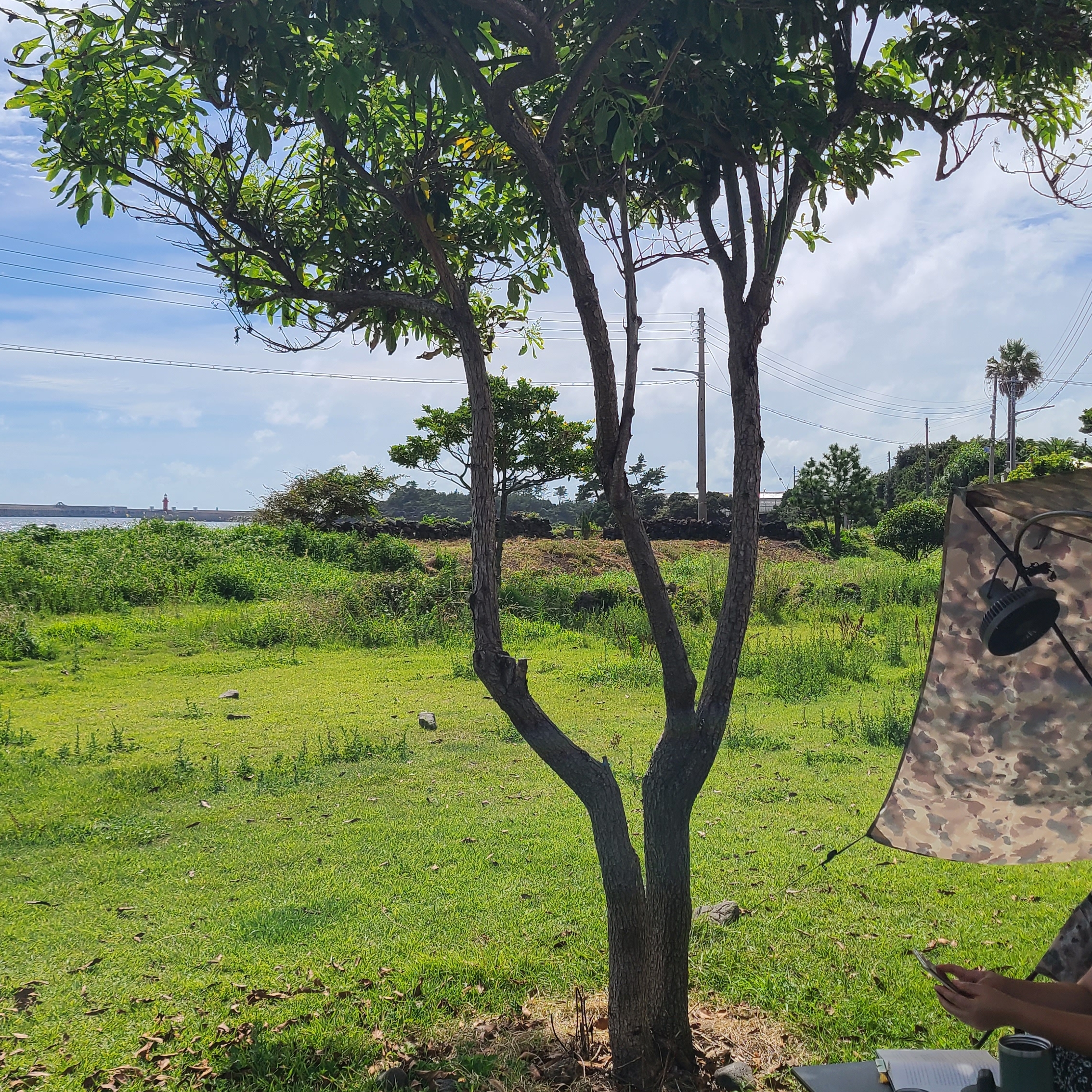 Helinox x Carhartt WIP Royal Box Shade Camo Tide 착용 스타일 - 2