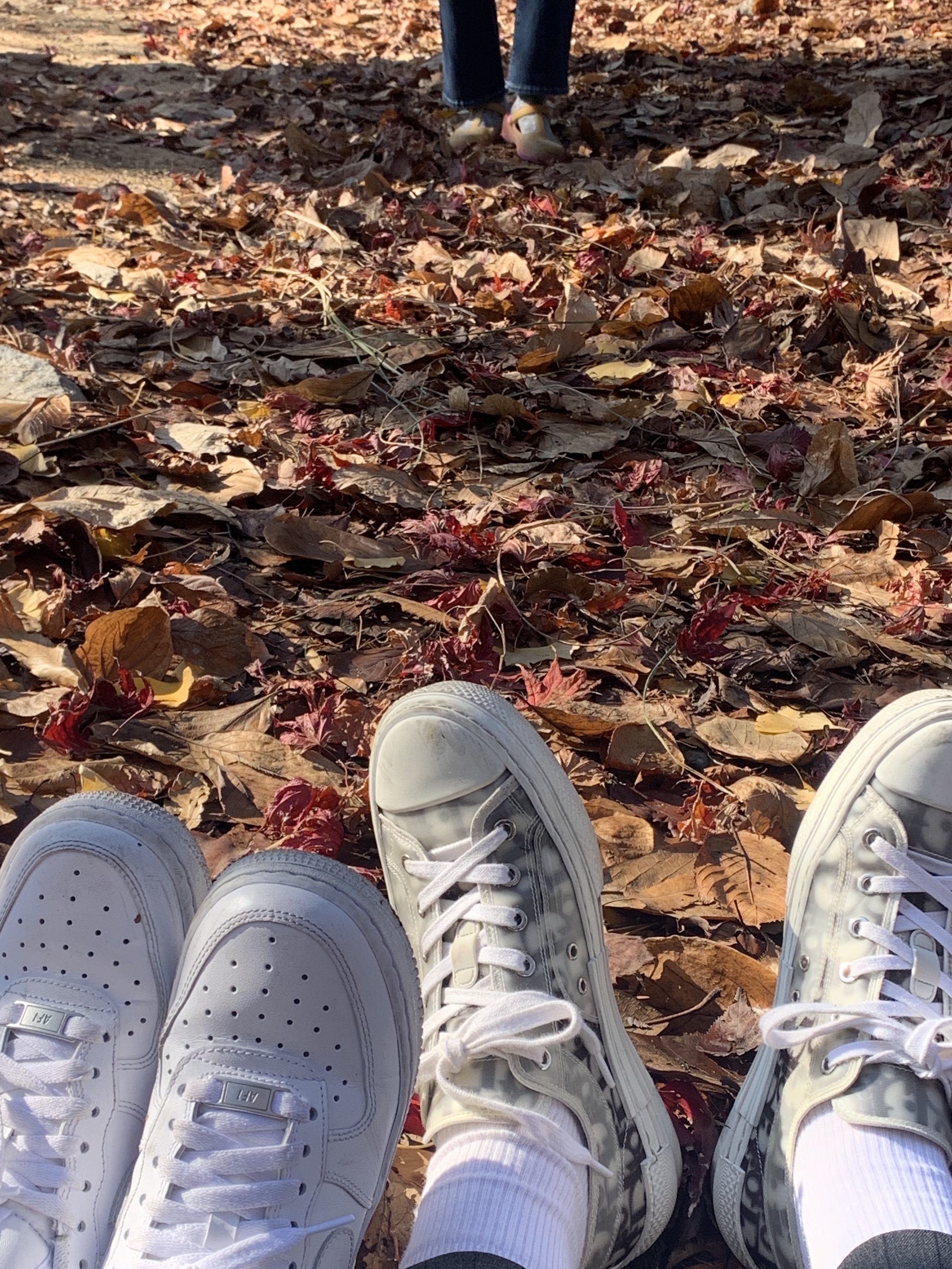Dior B23 Low Dior Oblique White & Black, Nike Air Force 1 '07 Low White 착용 스타일