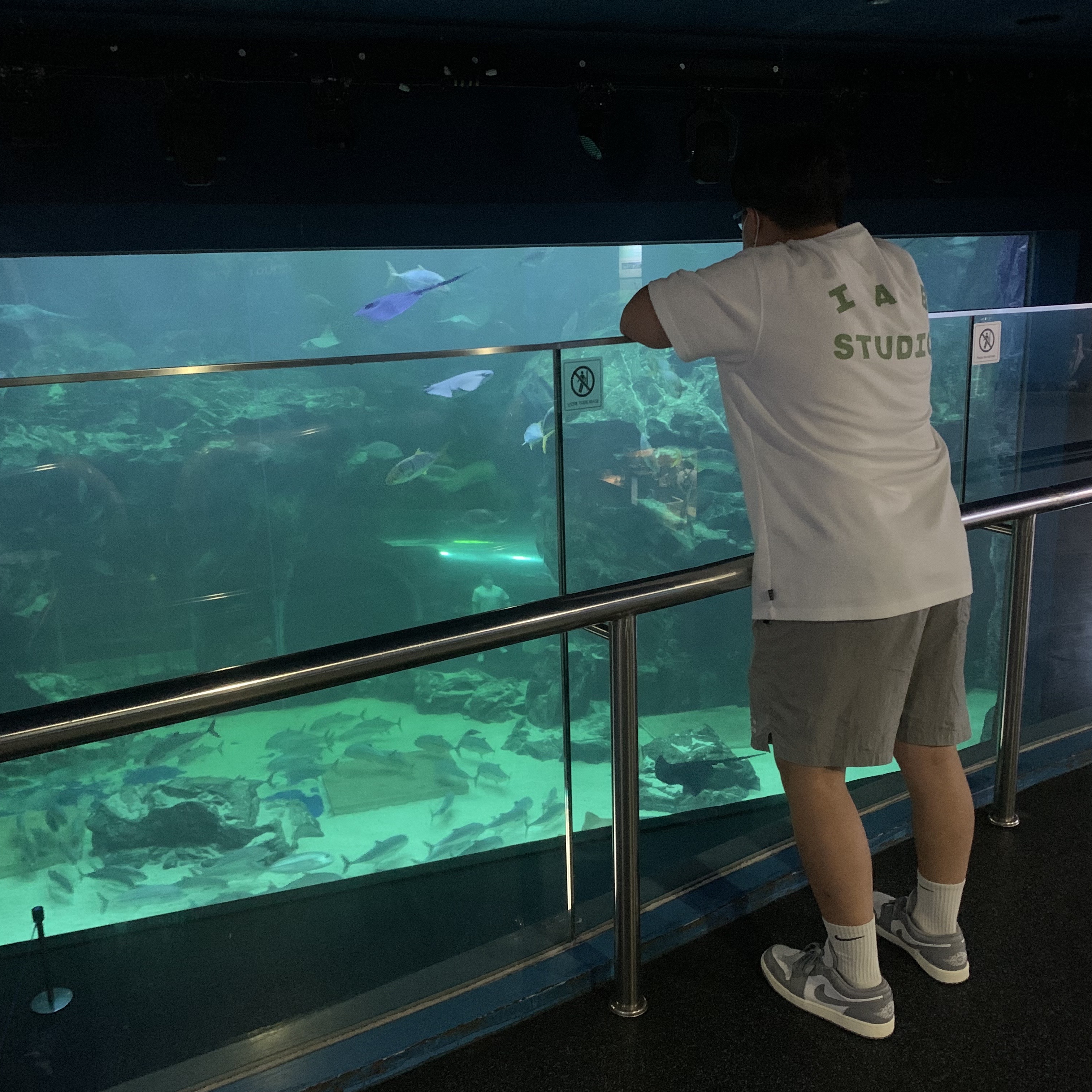IAB Studio T-Shirt White Light Green, IAB Studio Woven Shorts Gray 착용 스타일