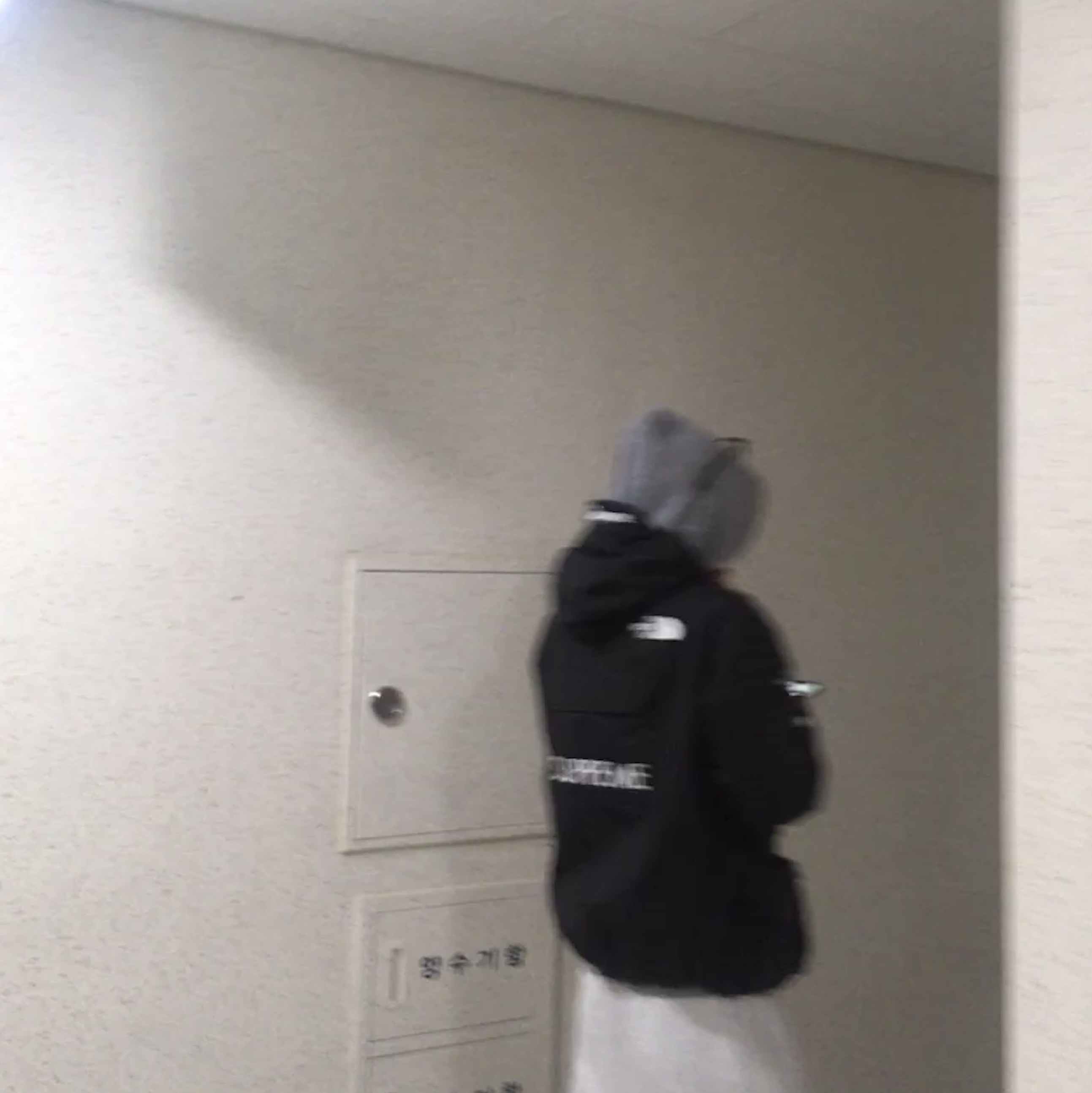 Supreme x The North Face Cargo Jacket Black - 20SS, Essentials Pull-Over Hoodie Heather Oatmeal - 21SS 착용 스타일 - 1