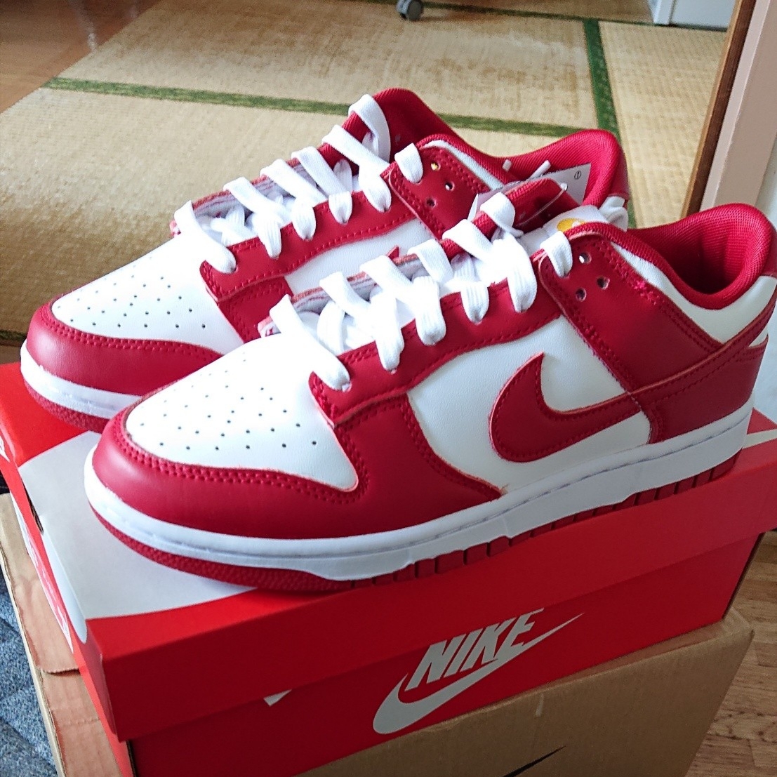 Nike Dunk Low Retro Gym Red 착용 스타일