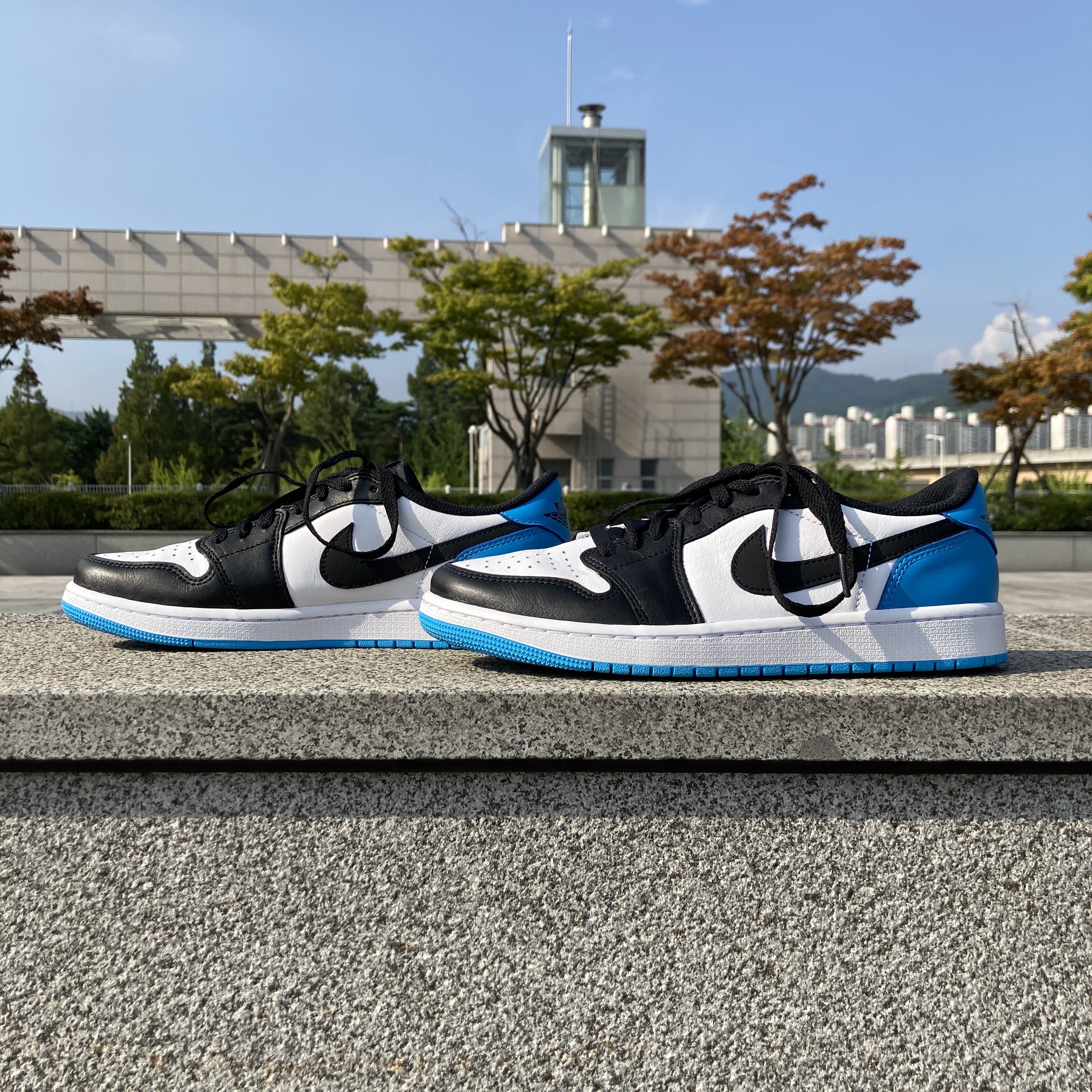 Jordan 1 Retro Low OG Black and Dark Powder Blue 착용 스타일 - 1