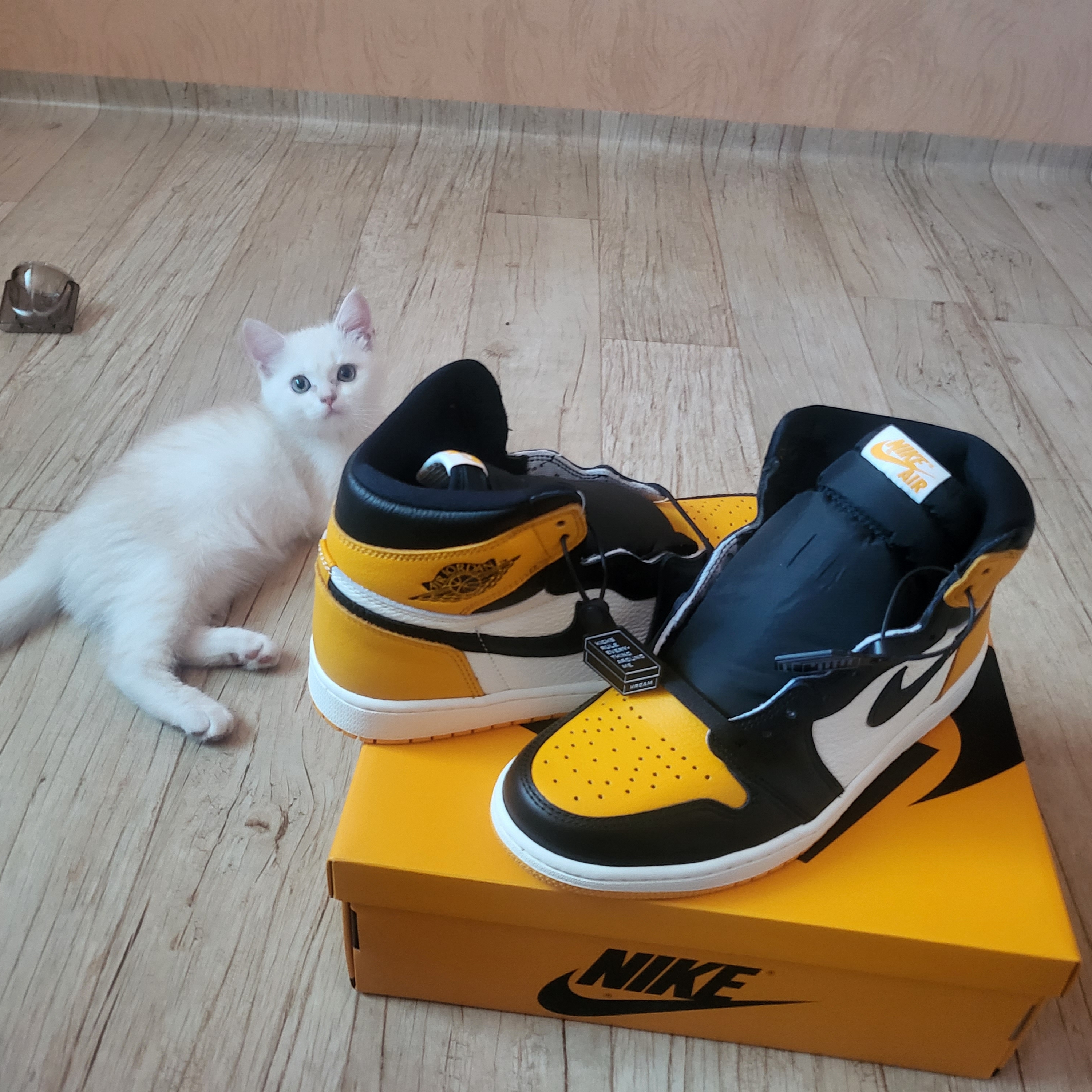 Jordan 1 Retro High OG Taxi 착용 스타일