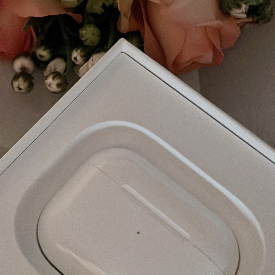 Apple AirPods Pro with MagSafe Charging Case (Korean Ver.) 착용 스타일