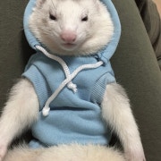 KREAM 프로필 이미지
