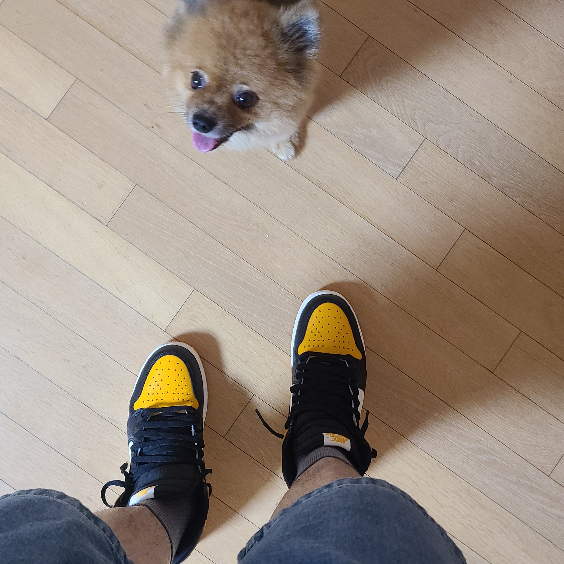 Jordan 1 Retro High OG Taxi 착용 스타일