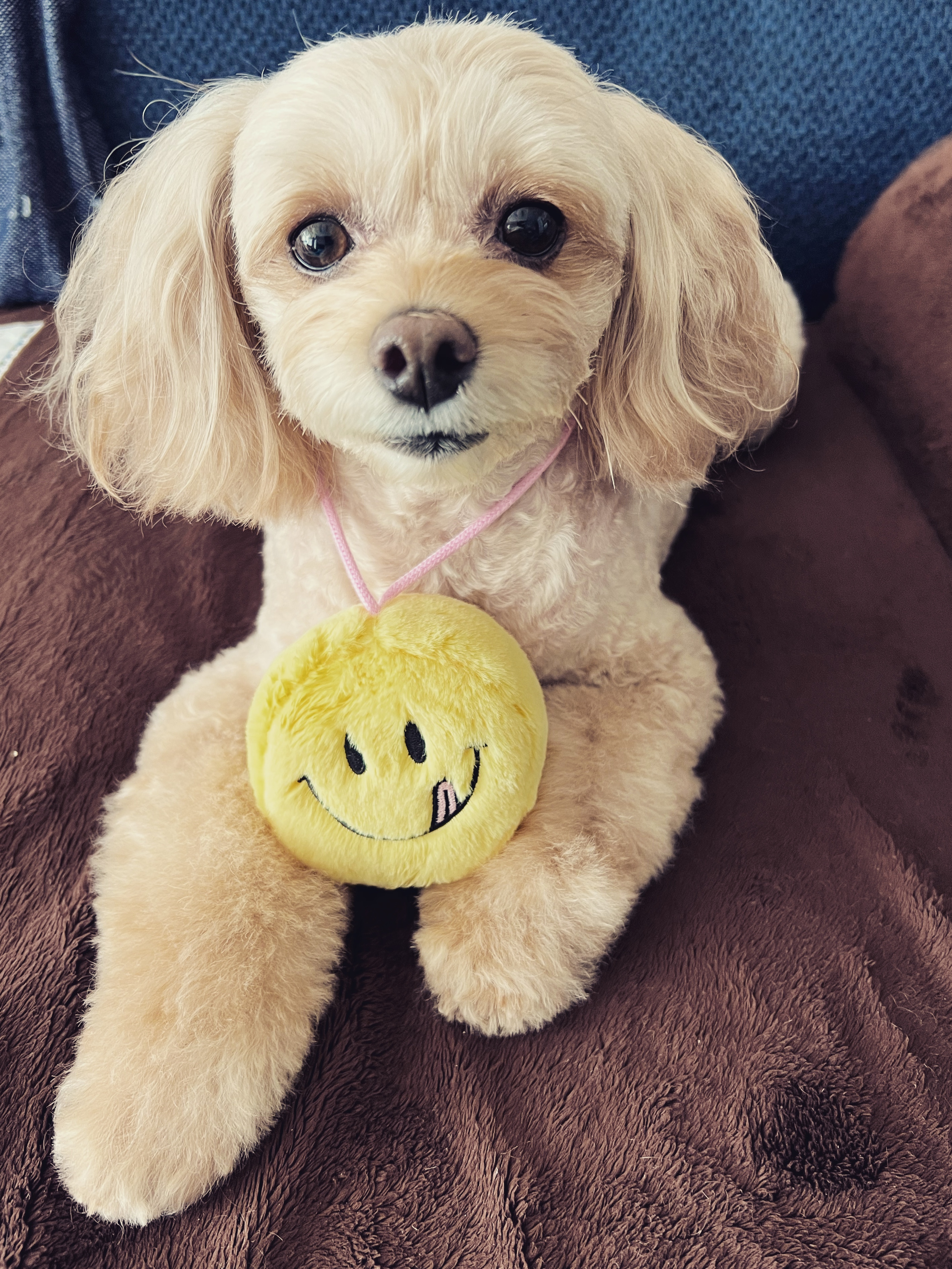 ralphie420님의 스타일