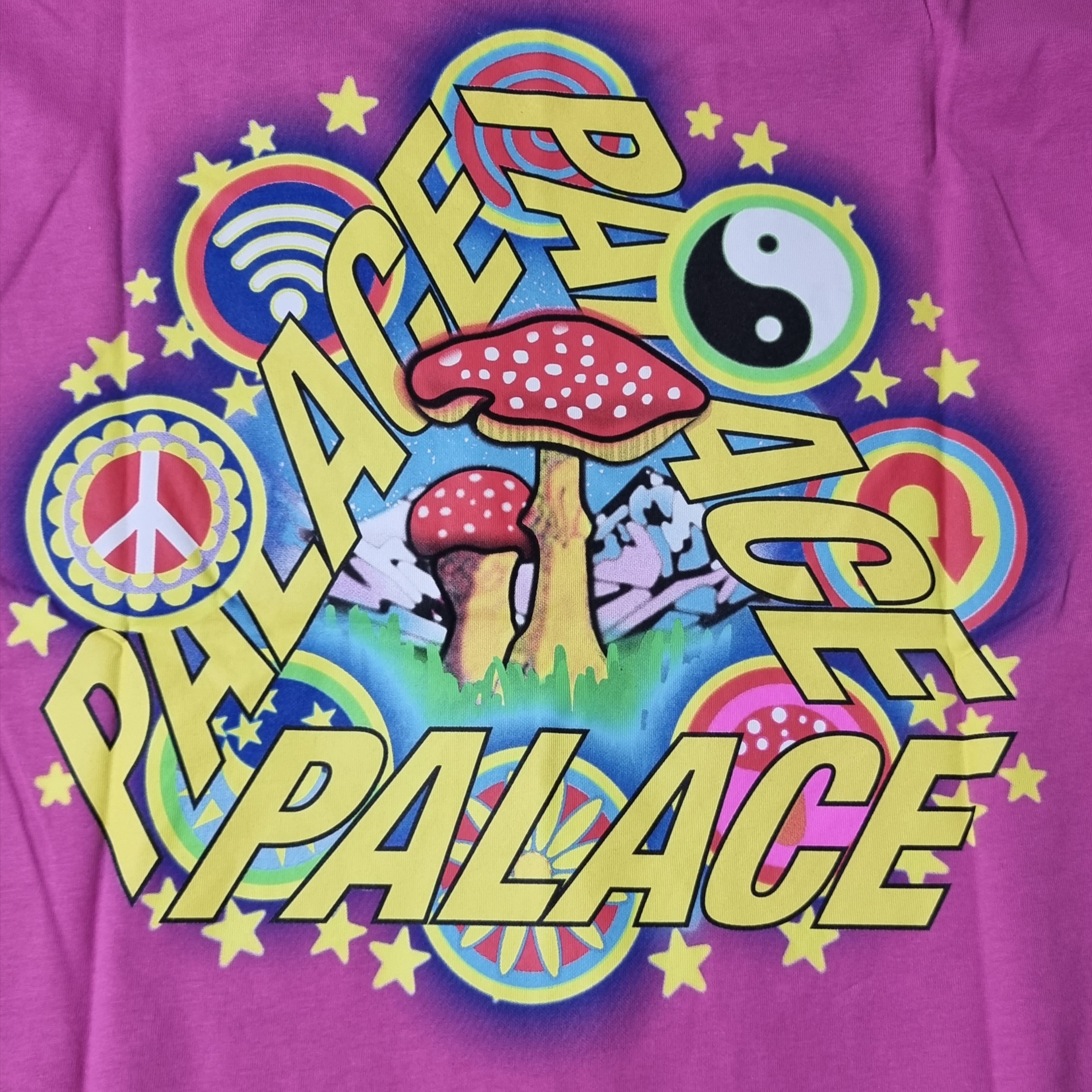 Palace Bun 5G T-Shirt Pink - 22FW 착용 스타일
