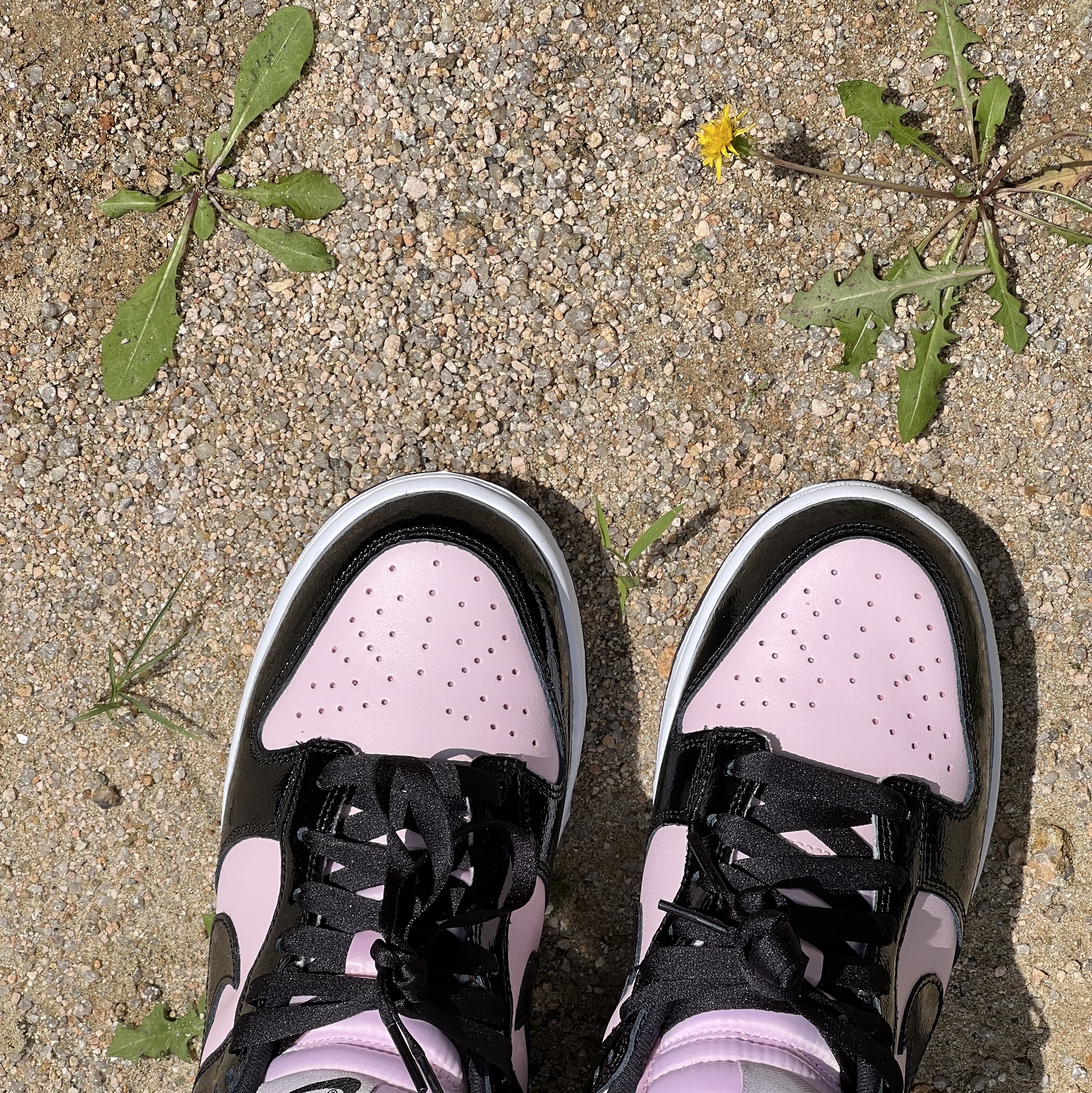 (W) Nike Dunk Low Essential Pink Foam Black 착용 스타일