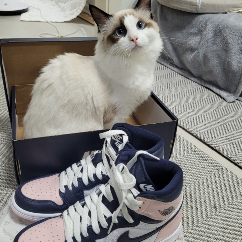 (W) Jordan 1 Retro High OG Atmosphere 착용 스타일