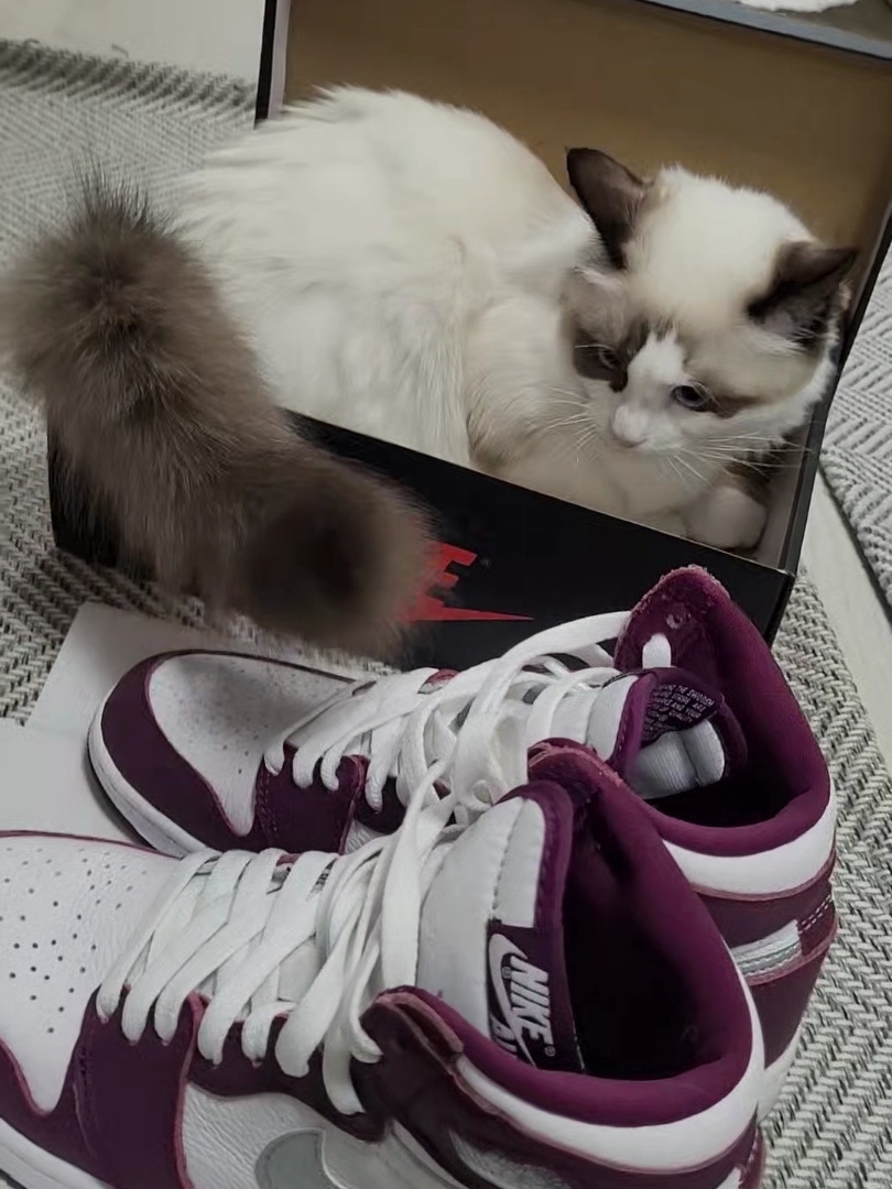 (GS) Jordan 1 Retro High OG Bordeaux 착용 스타일