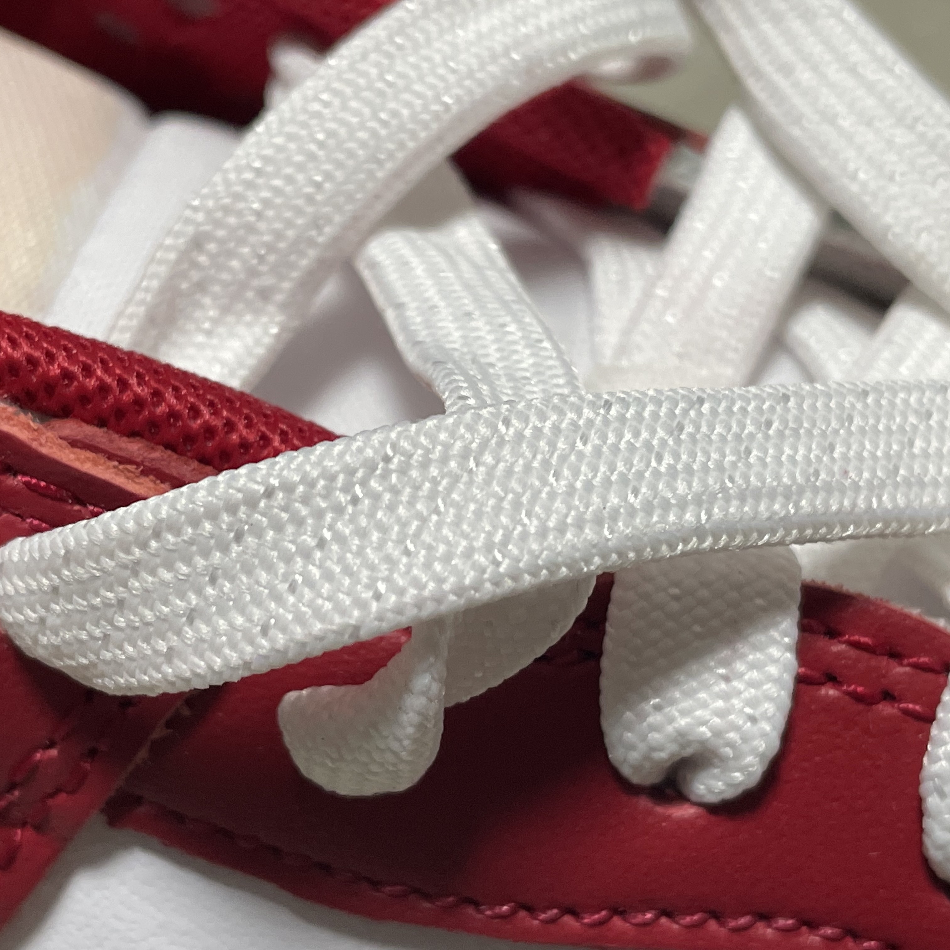 Nike Dunk Low Retro Gym Red 착용 스타일 - 5