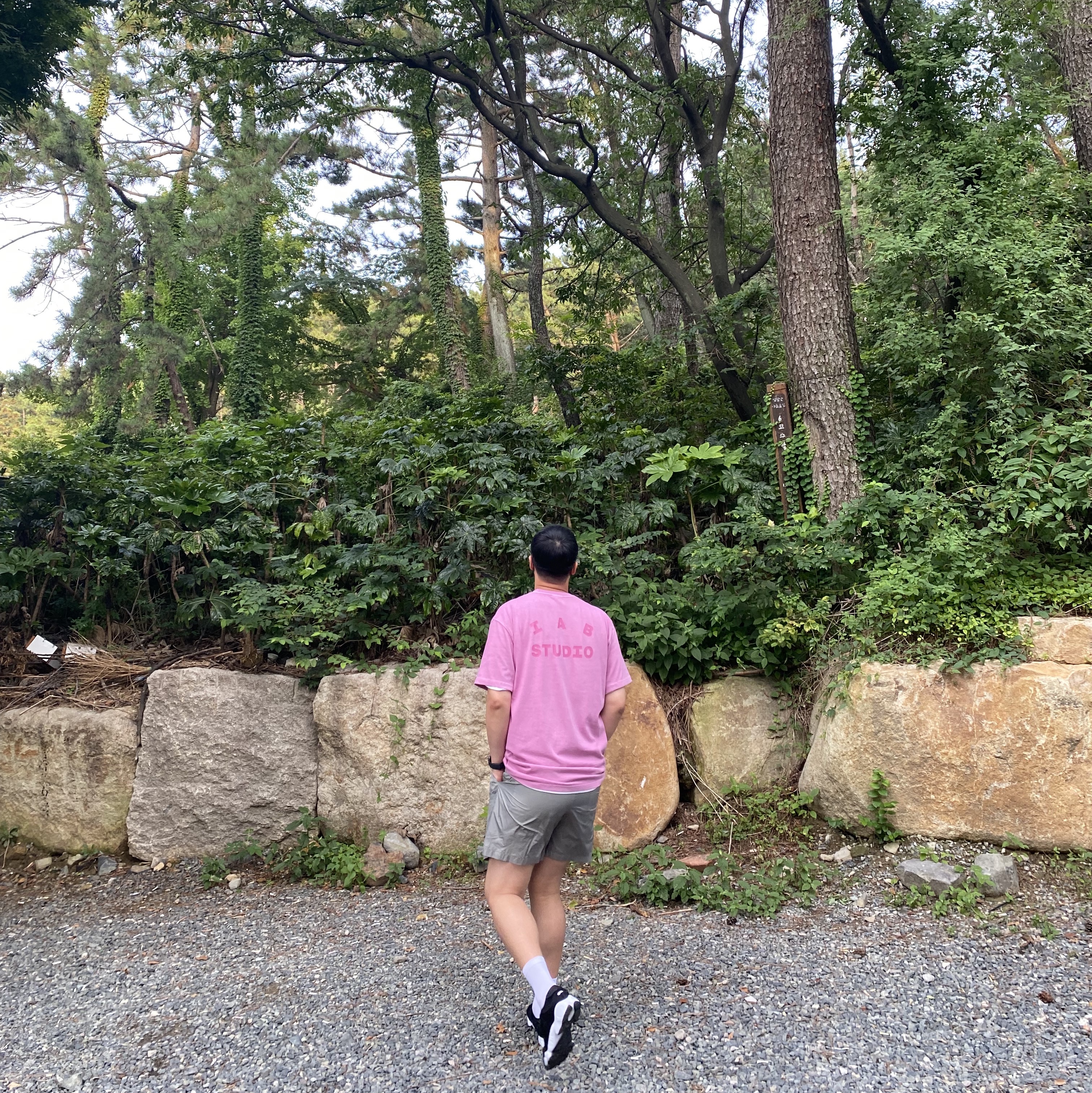 IAB Studio Pigment T-Shirt Magenta, IAB Studio Woven Shorts Gray 착용 스타일