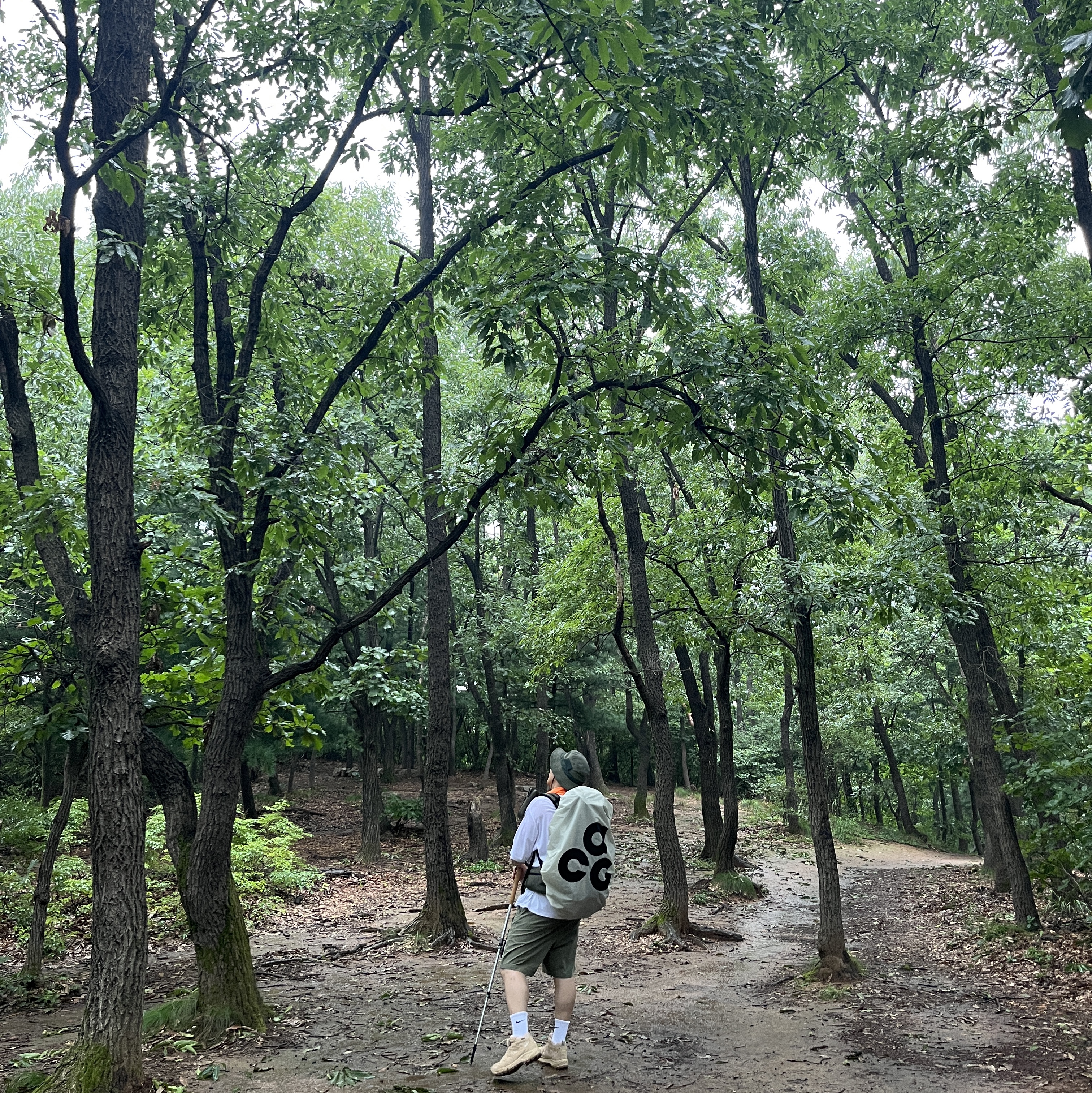 Nike ACG 36 Backpack Medium Olive 착용 스타일