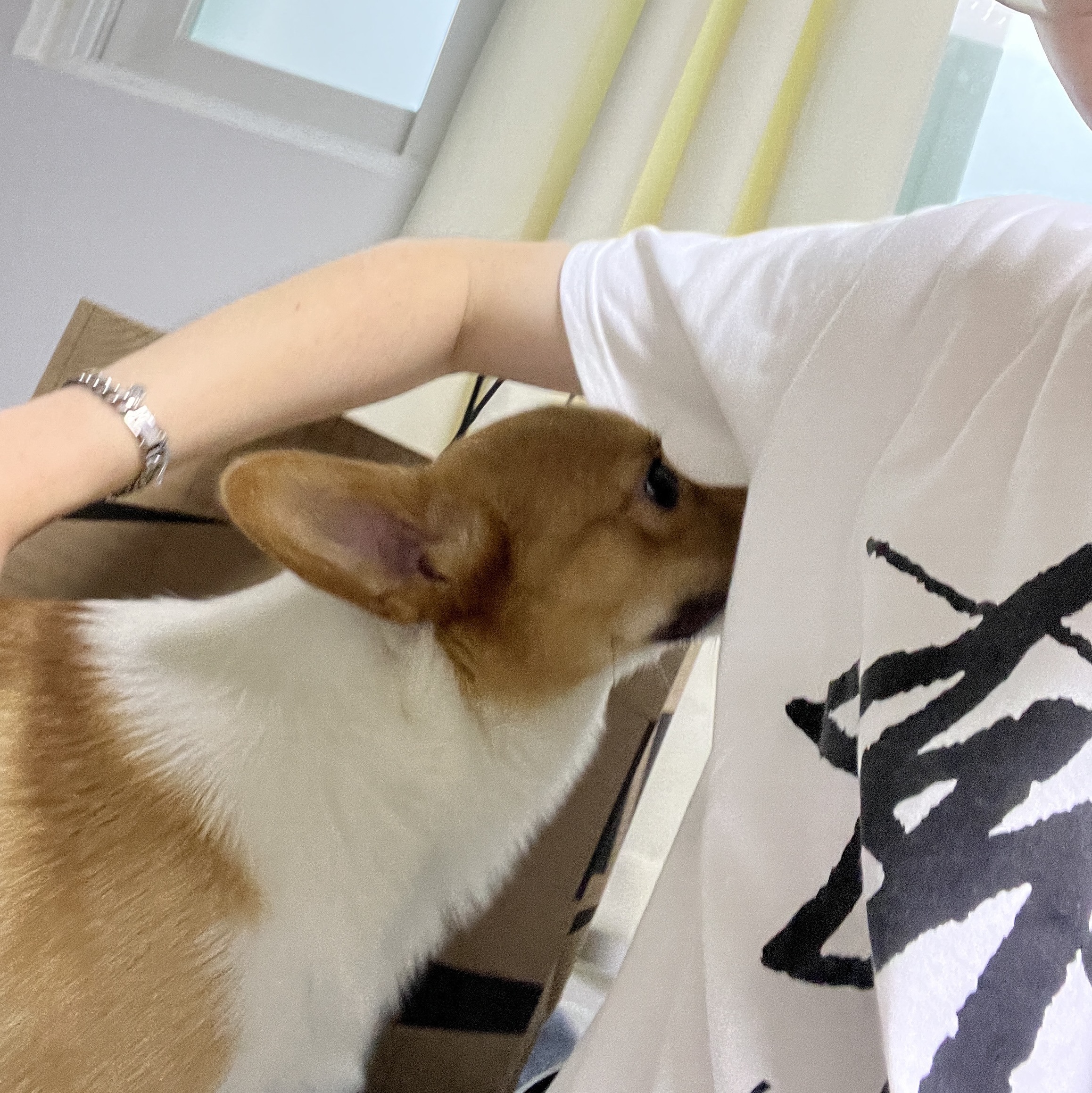 Stussy World Tour T-Shirt White 착용 스타일