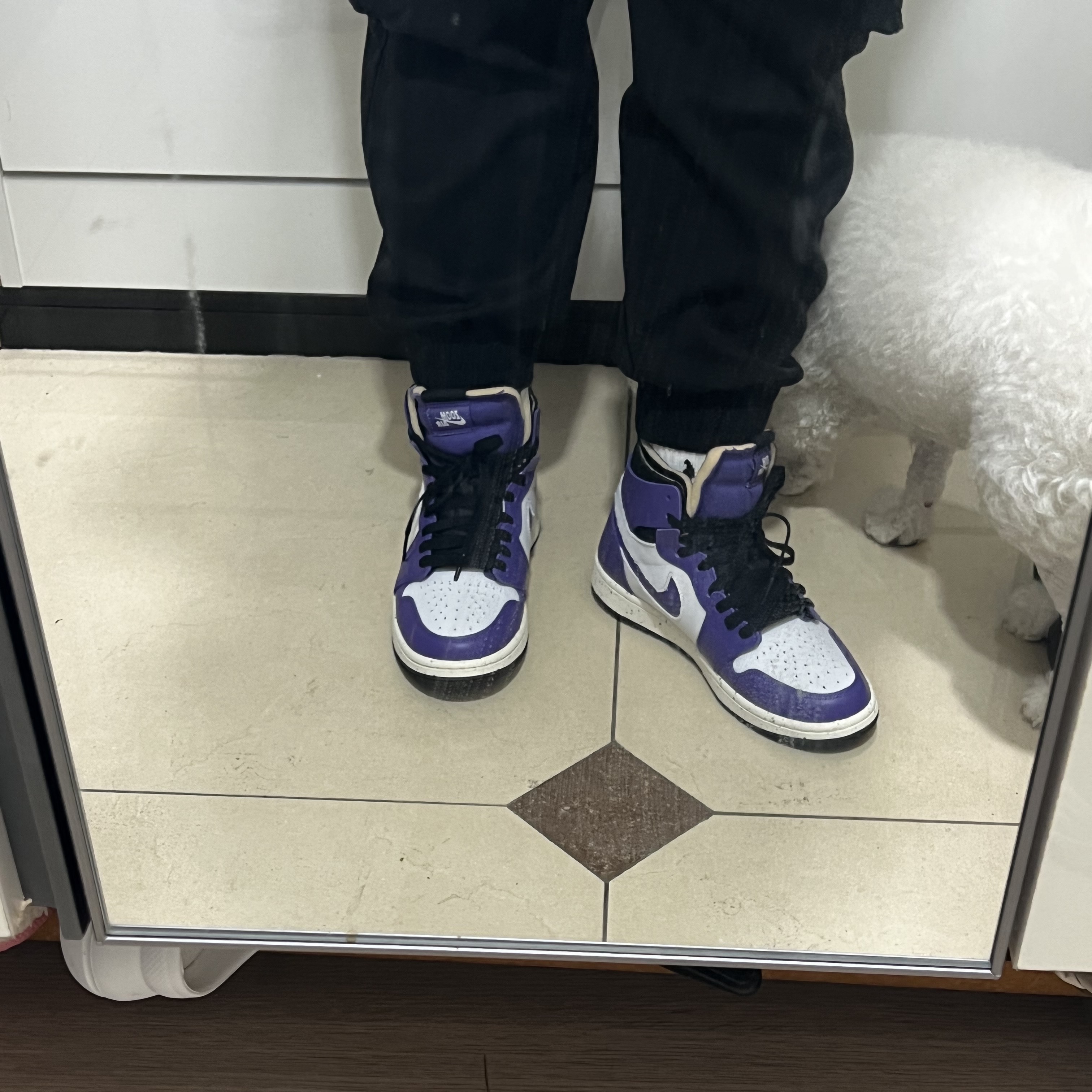 Jordan 1 Zoom Air CMFT Dark Iris 착용 스타일 - 2