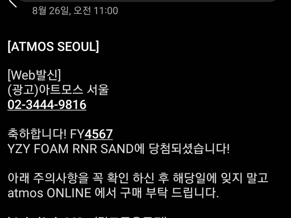 Adidas Yeezy Foam RNNR Sand 착용 스타일