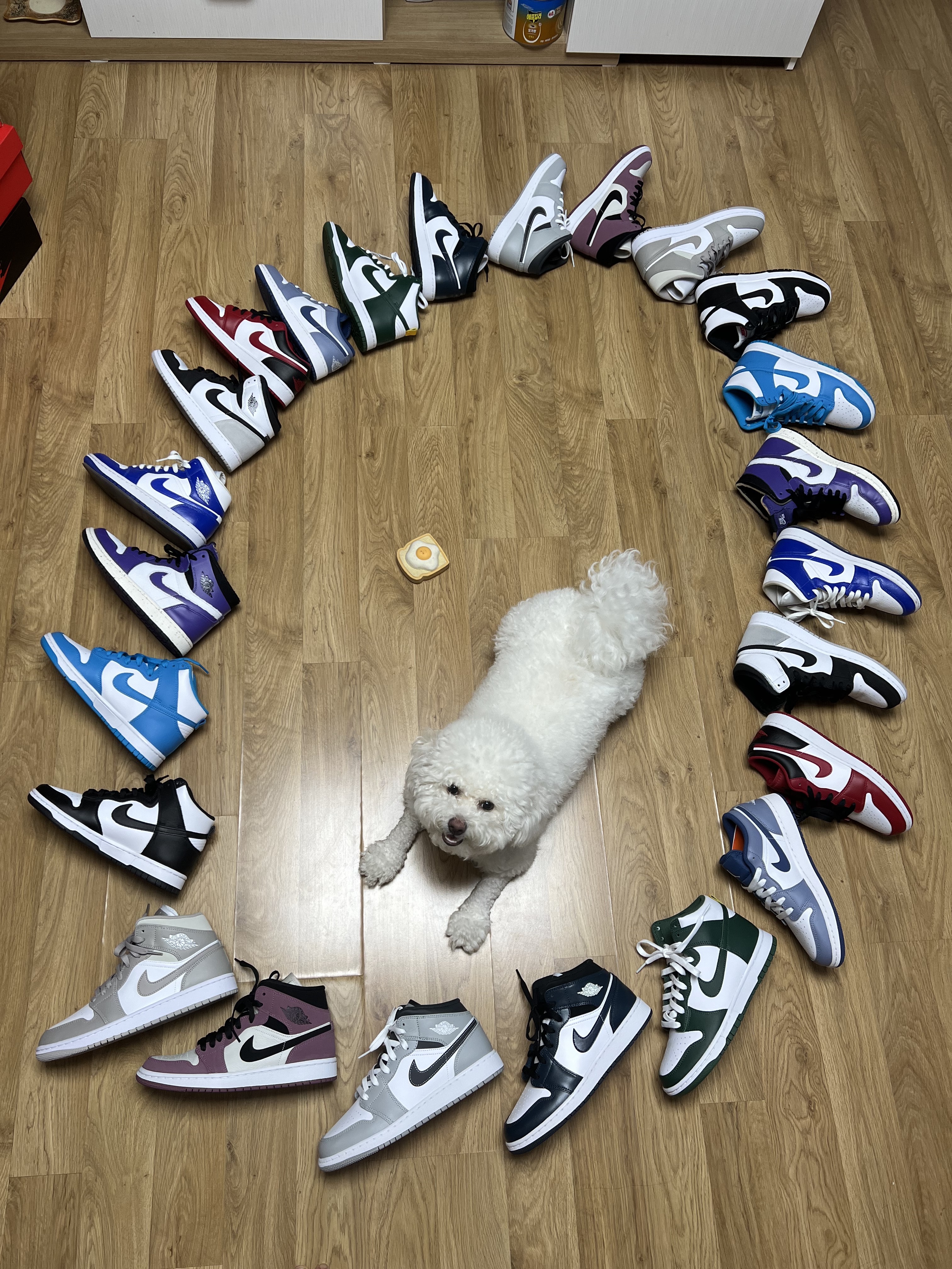 (W) Nike Dunk High Black and White, (W) Jordan 1 Mid White Hyper Royal 착용 스타일 - 1