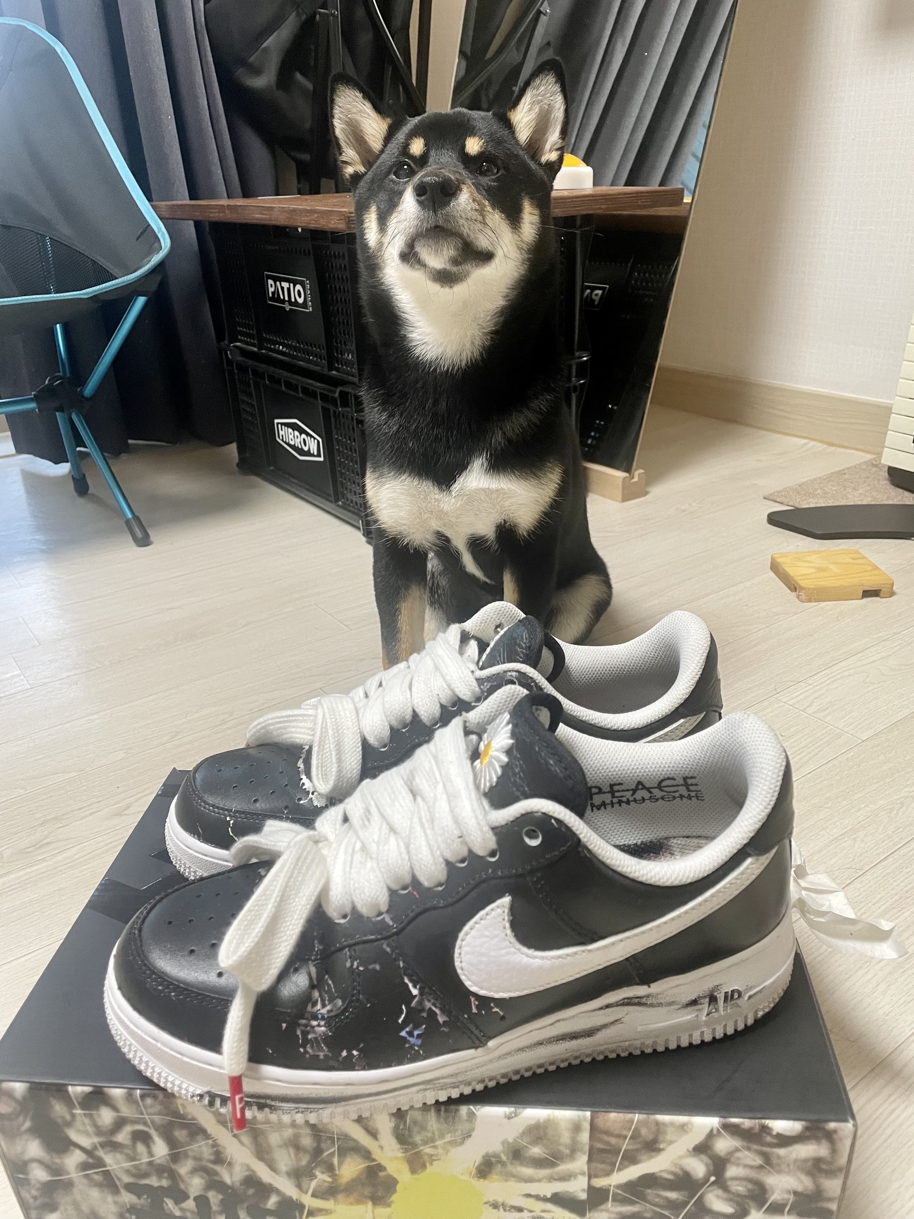 Nike x Peaceminusone Air Force 1 Low Para-Noise 착용 스타일