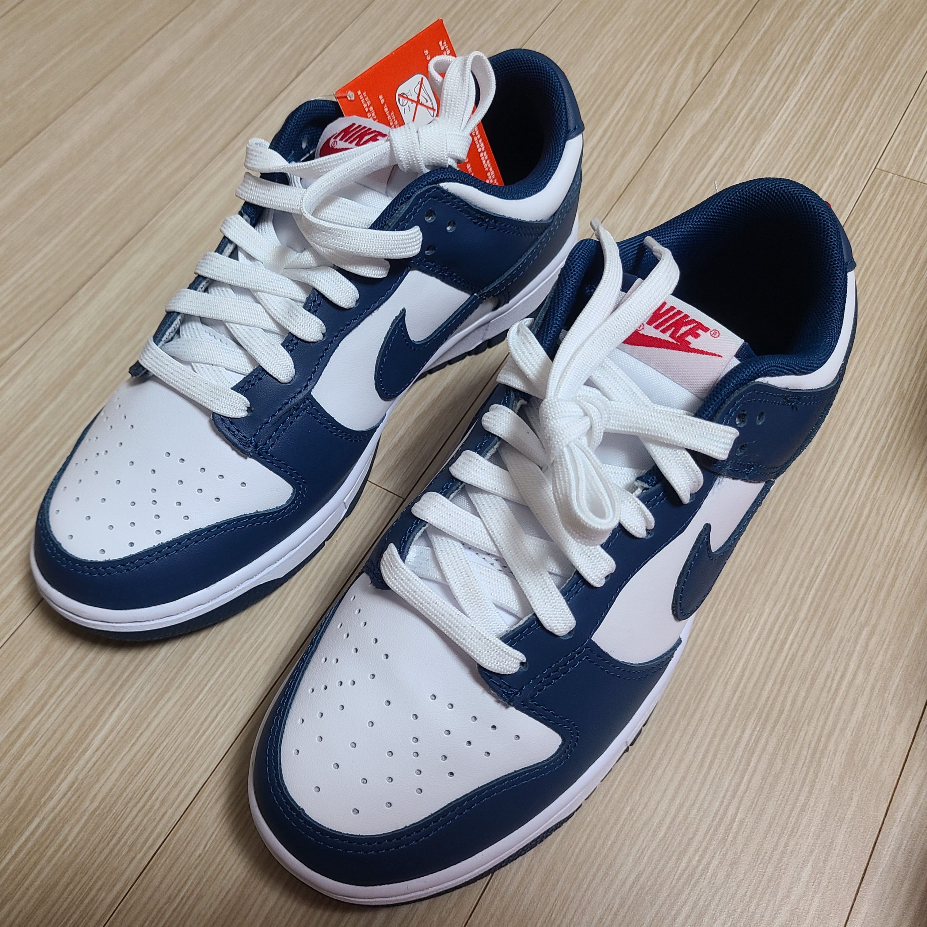 Nike Dunk Low Retro Valerian Blue 착용 스타일