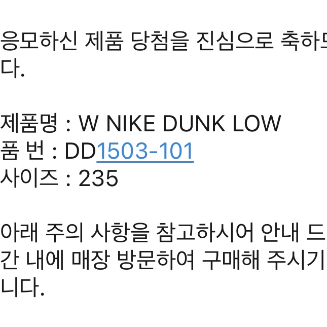 (W) Nike Dunk Low Black 착용 스타일