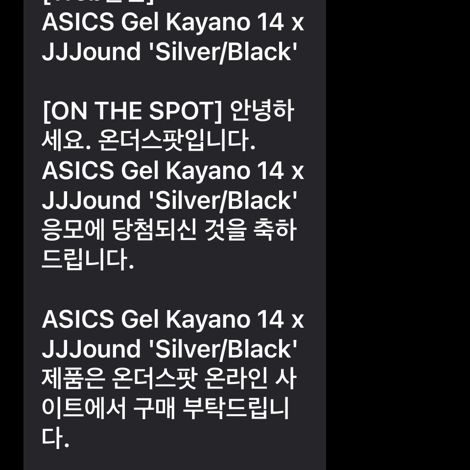 Asics x JJJJound Gel-Kayano 14 Silver Black 착용 스타일