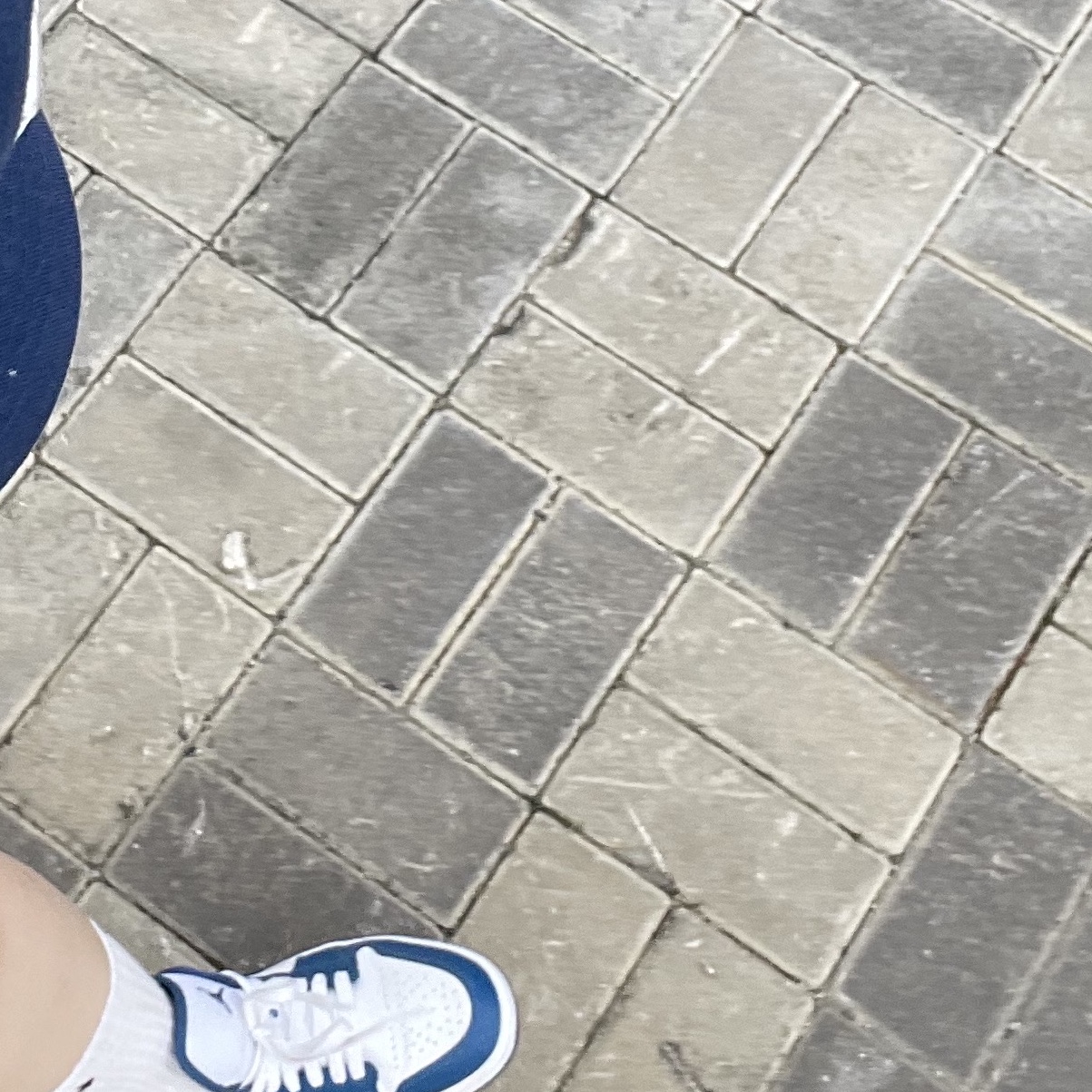(W) Jordan 1 Low White Dark Marina Blue 착용 스타일