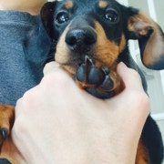 KREAM 프로필 이미지