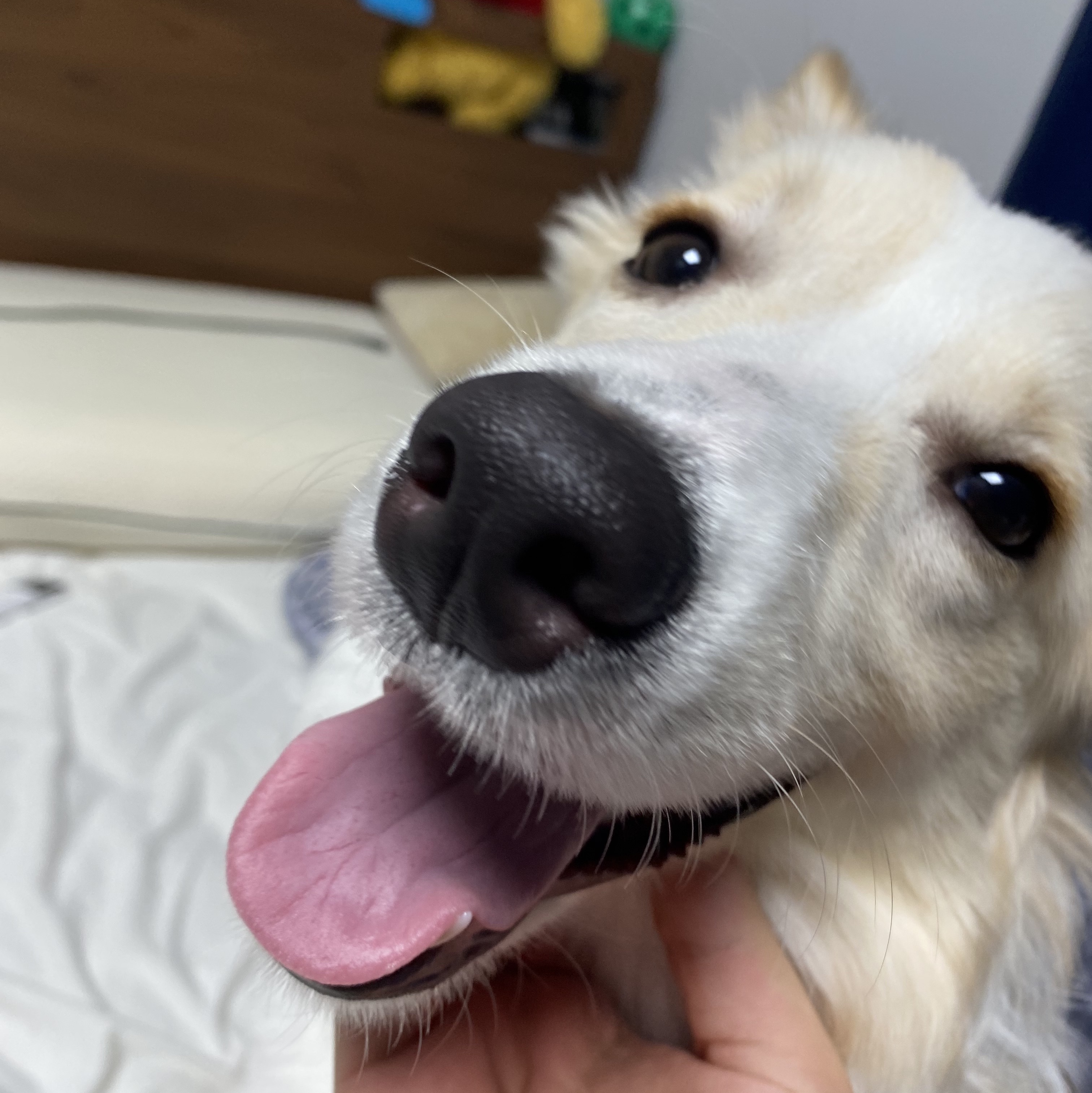 Adidas Yeezy Slide Bone 2022/2023 착용 스타일 - 2