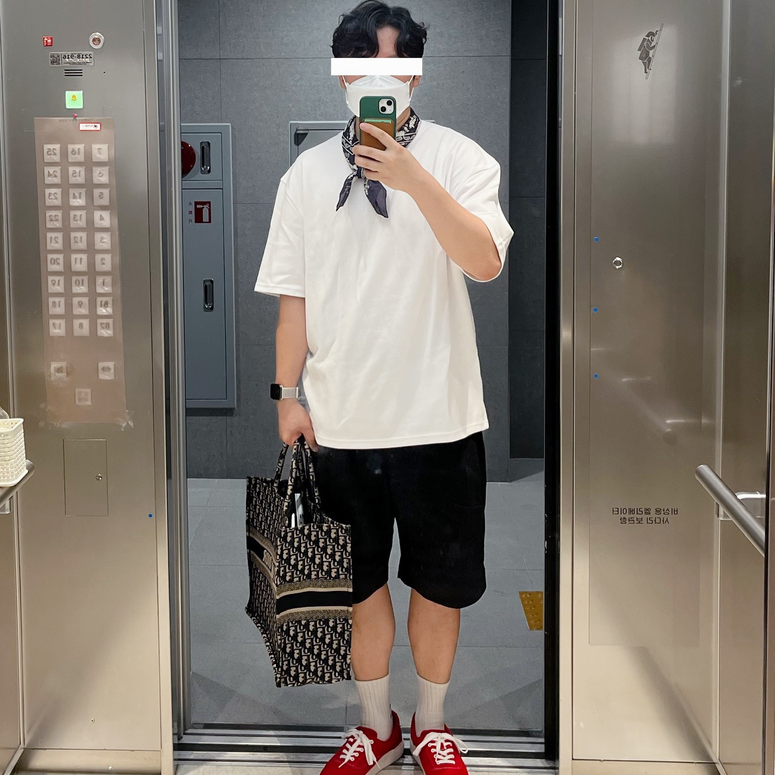 Dior Large Book Tote Blue Dior Oblique Embroidery 착용 스타일