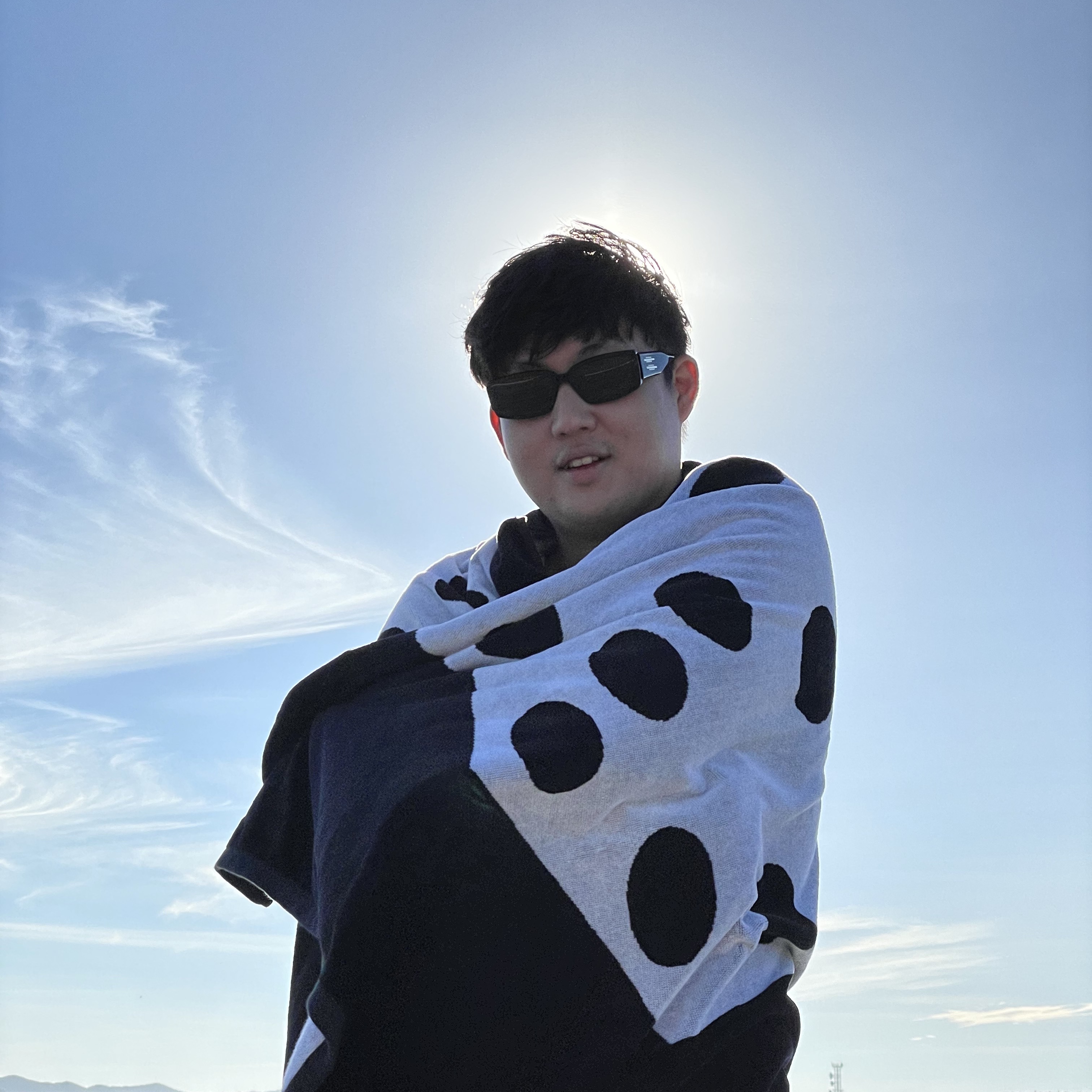 Stussy Dice Jacquard Beach Towel Black 착용 스타일