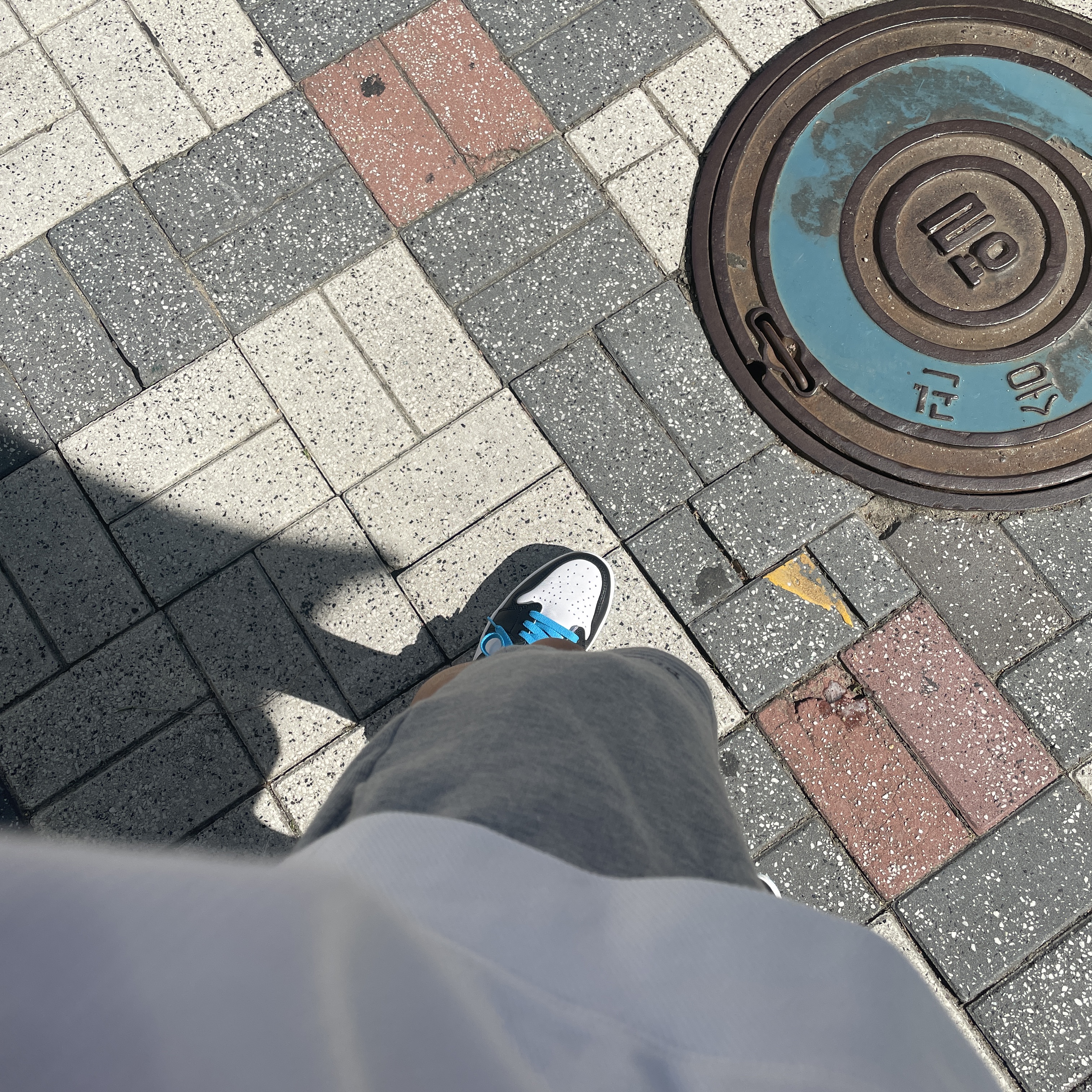 Jordan 1 Retro Low OG Black and Dark Powder Blue 착용 스타일 - 1