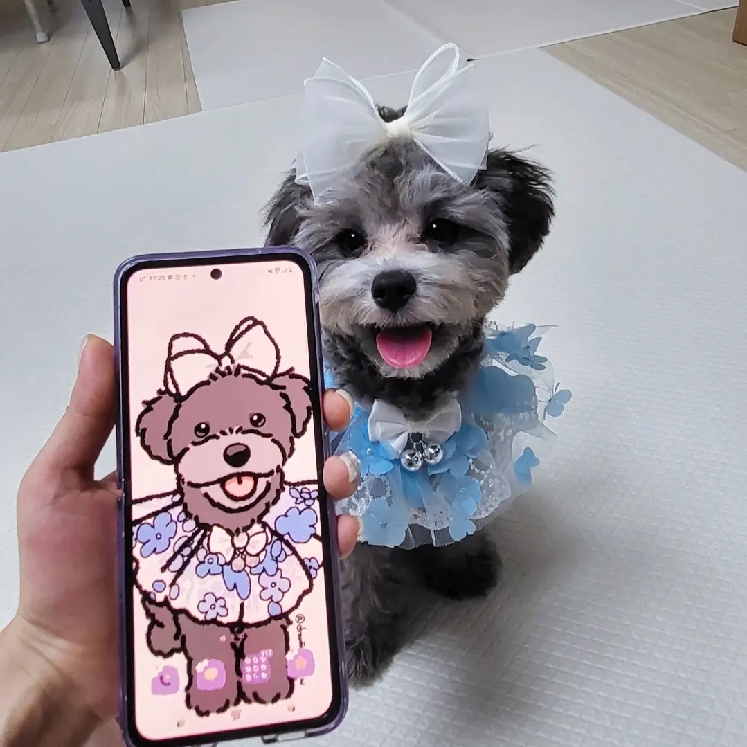 달이님의 스타일 - 1