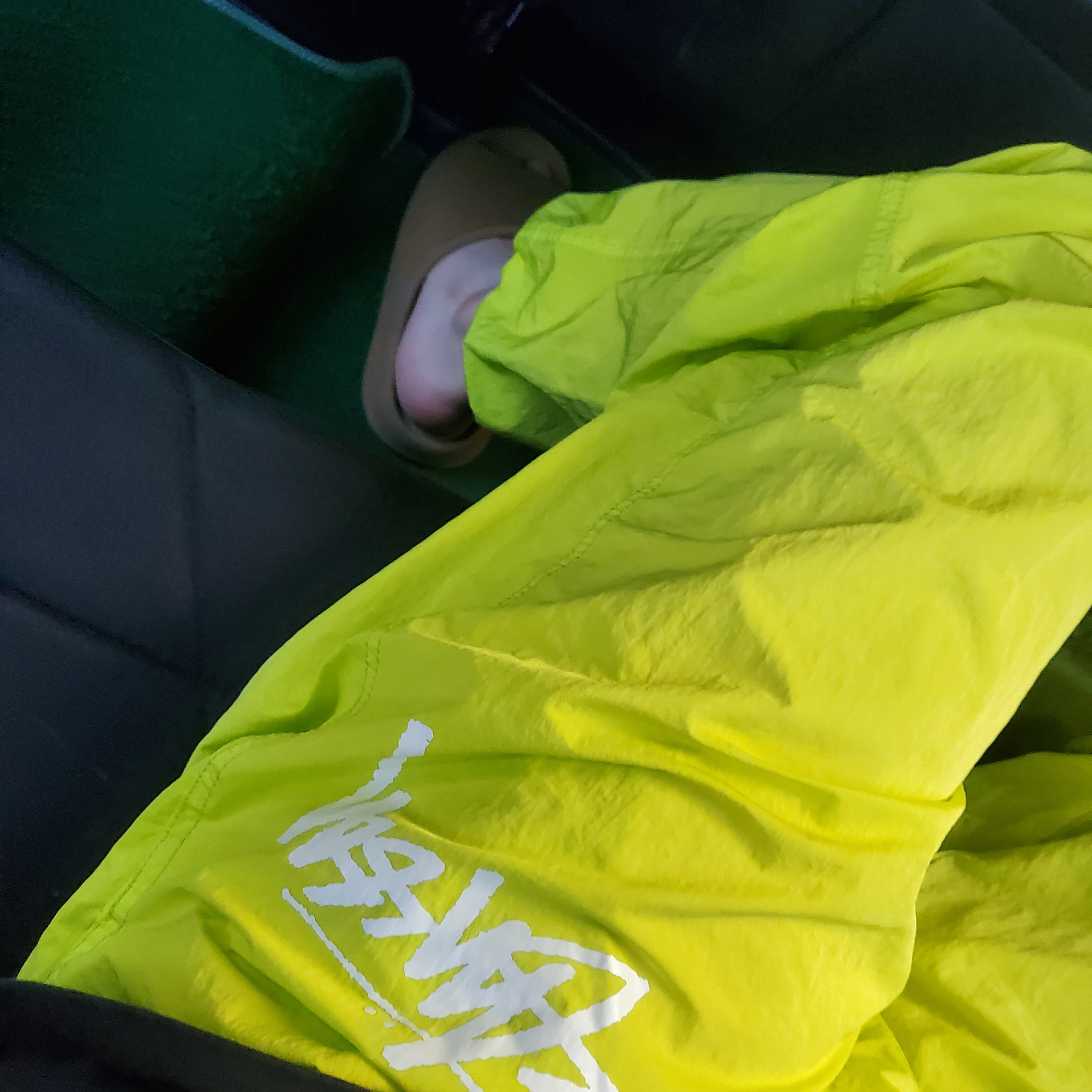 Nike x Stussy Beach Pants Bright Cactus 착용 스타일