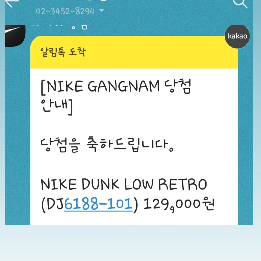 Nike Dunk Low Retro Summit White 착용 스타일 - 1
