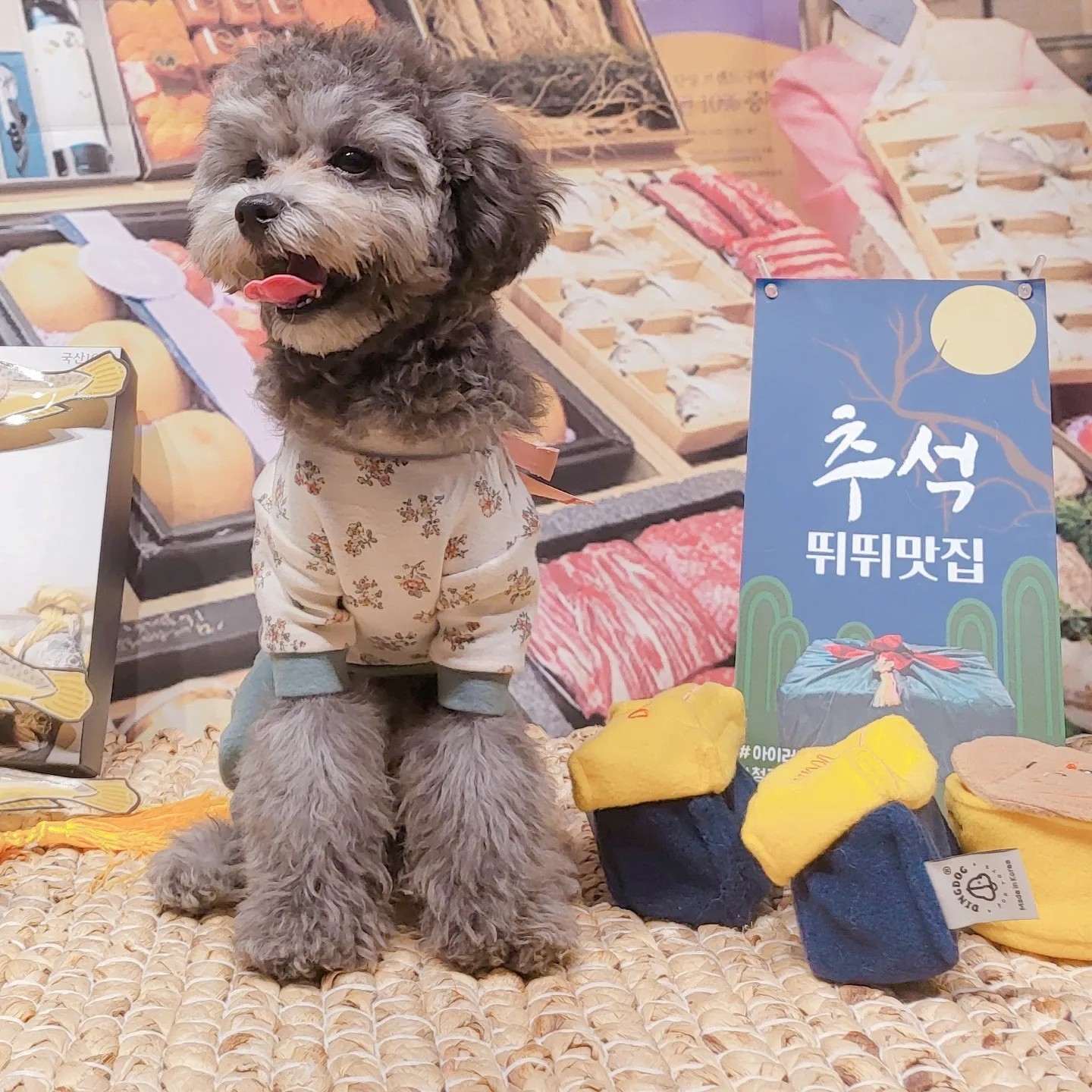 달이님의 스타일 - 1