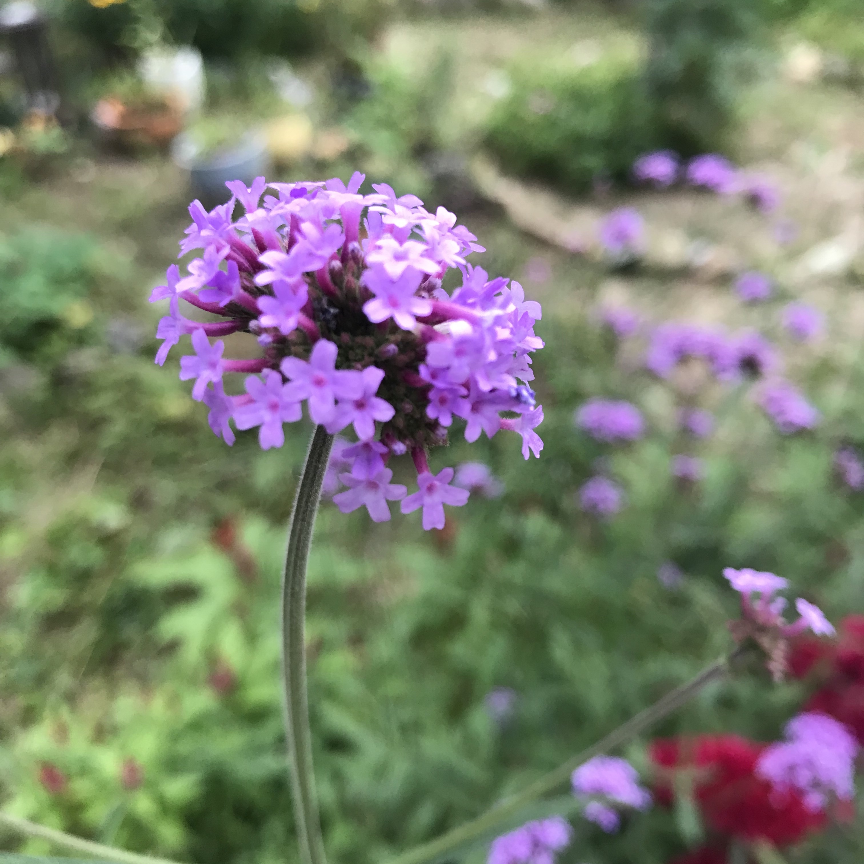 지아님의 스타일