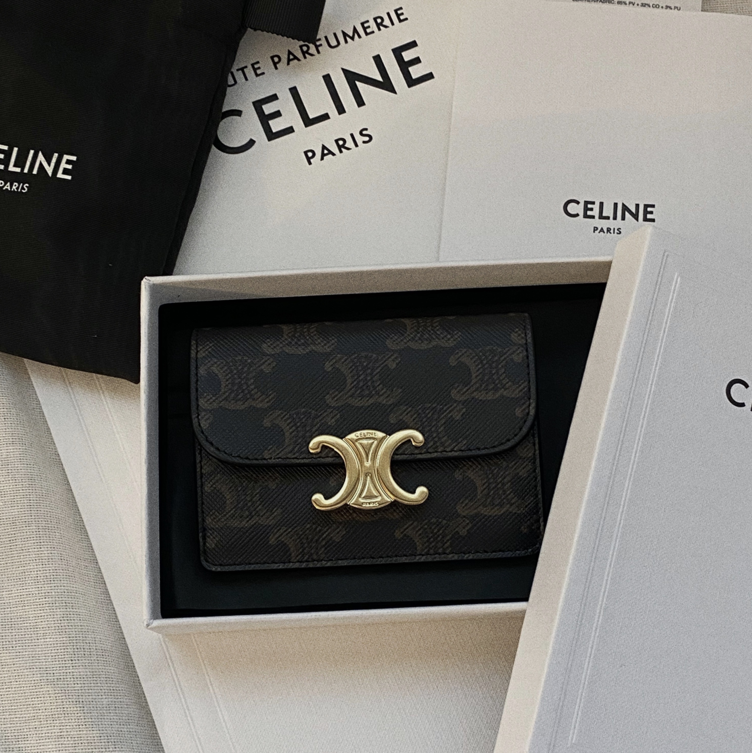 Celine Card Holder with Flap in Triomphe Canvas Tan 착용 스타일 - 2