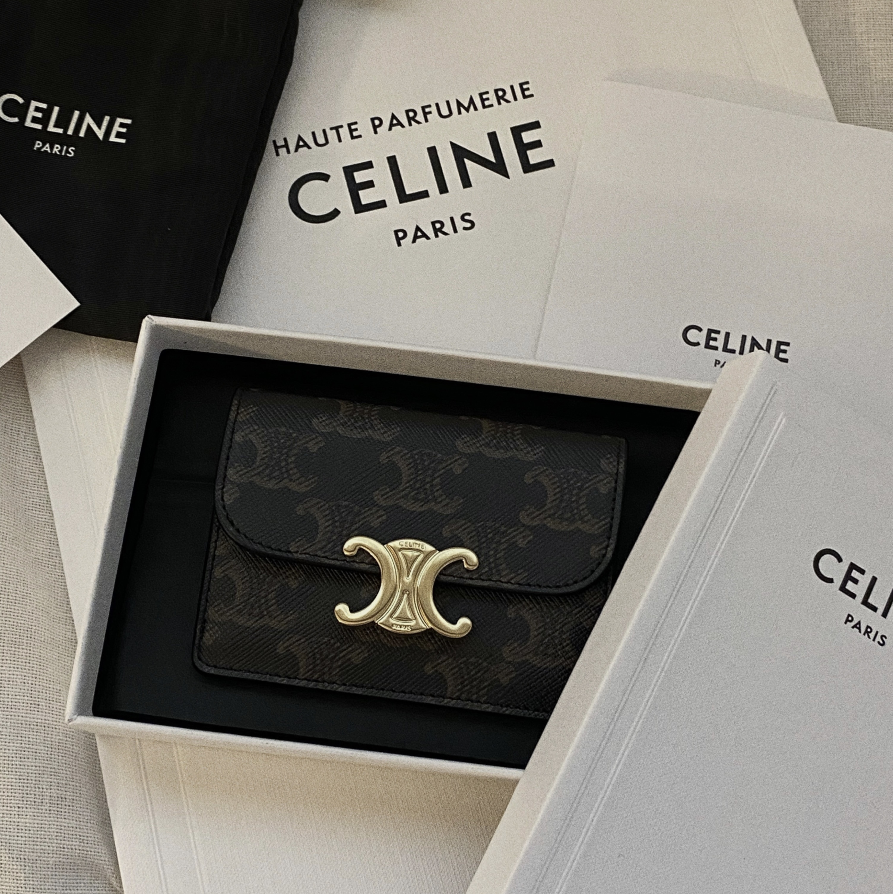 Celine Card Holder with Flap in Triomphe Canvas Tan 착용 스타일 - 1