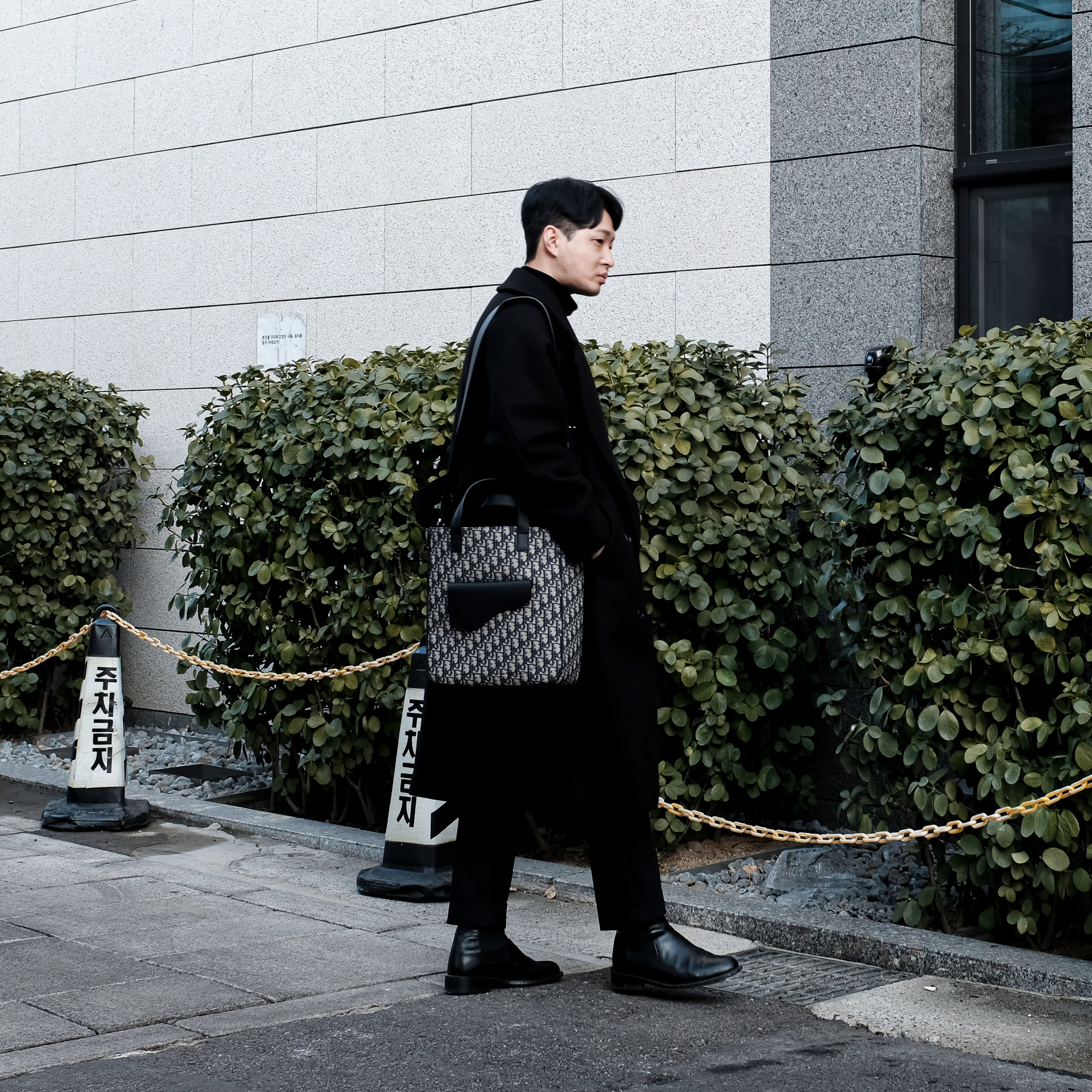 Dior Saddle Shoulder Strap Tote Bag Beige & Black Dior Oblique Jacquard 착용 스타일
