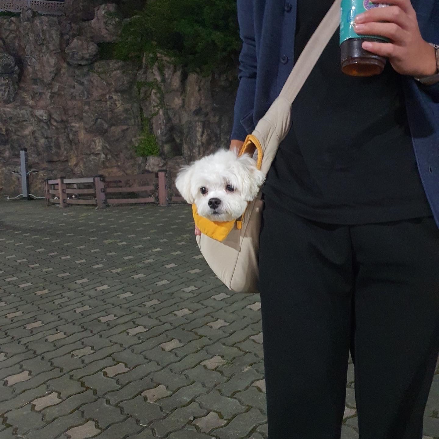 최선우님의 스타일