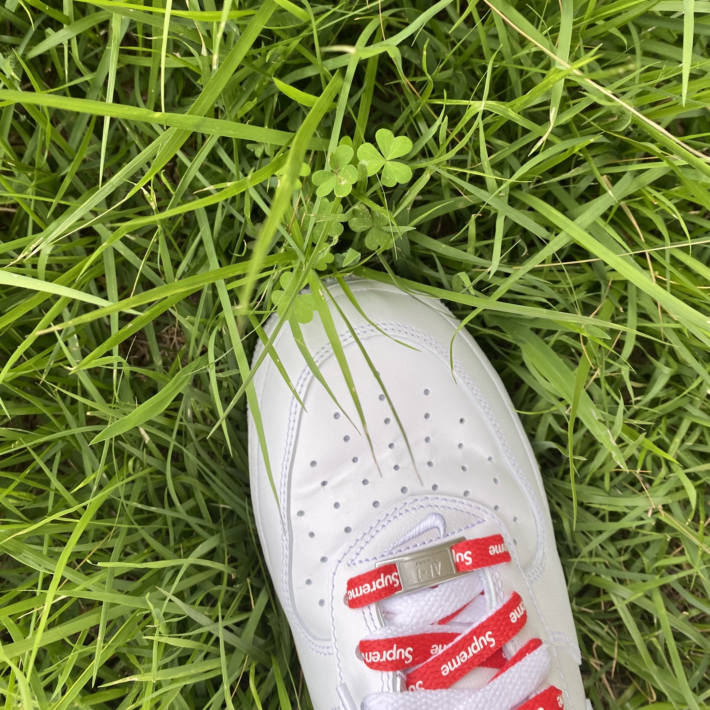 Nike x Supreme Air Force 1 Low White 착용 스타일
