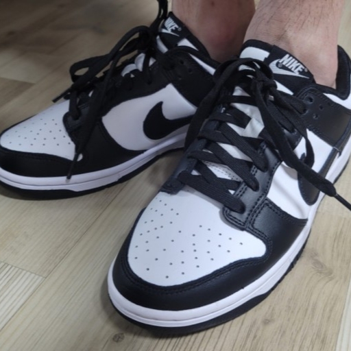 Nike Dunk Low Retro Black 착용 스타일