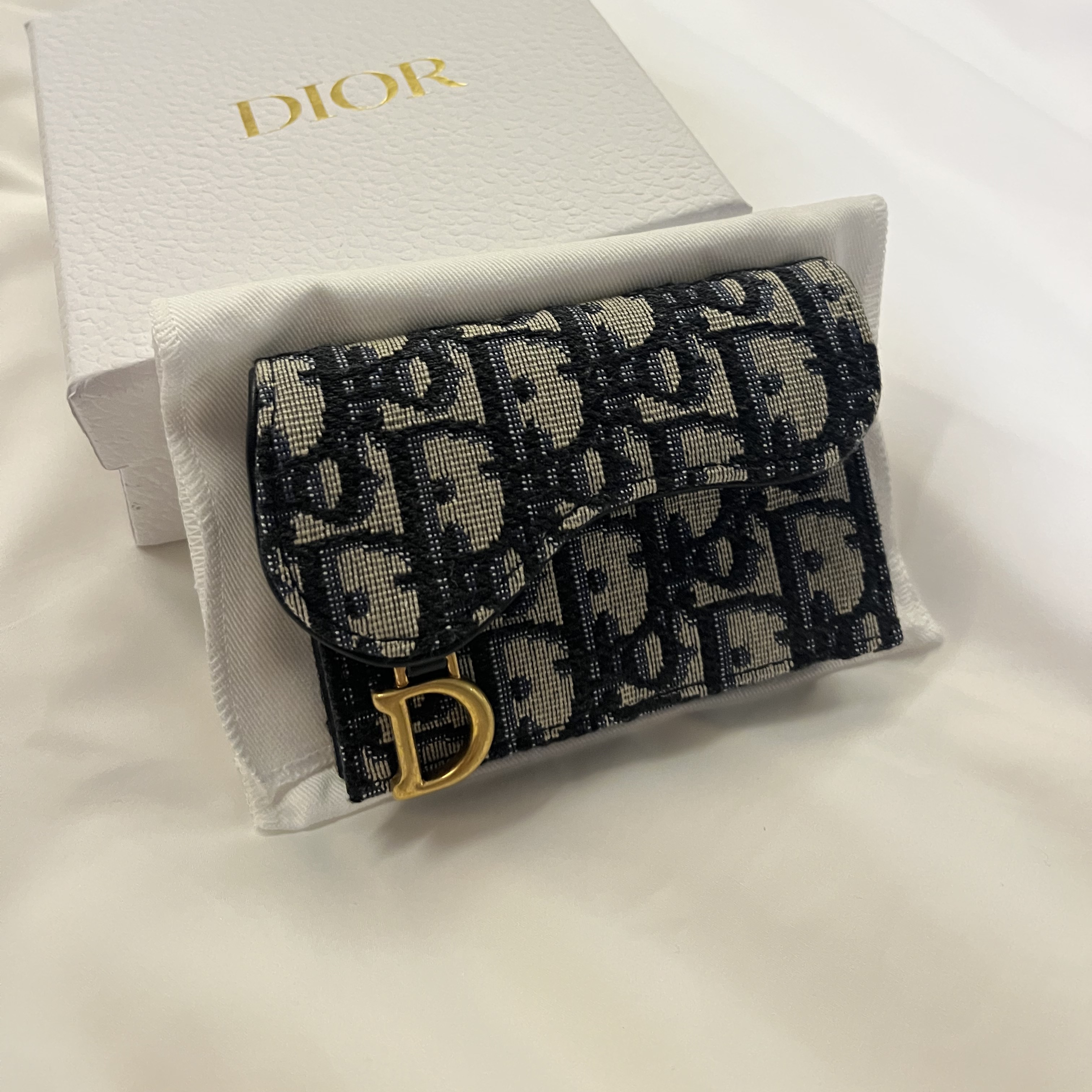 Dior Saddle Flap Card Holder Blue Dior Oblique Jacquard 착용 스타일